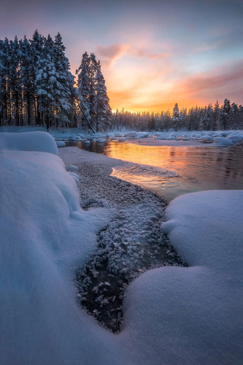 image-asset (7).jpeg