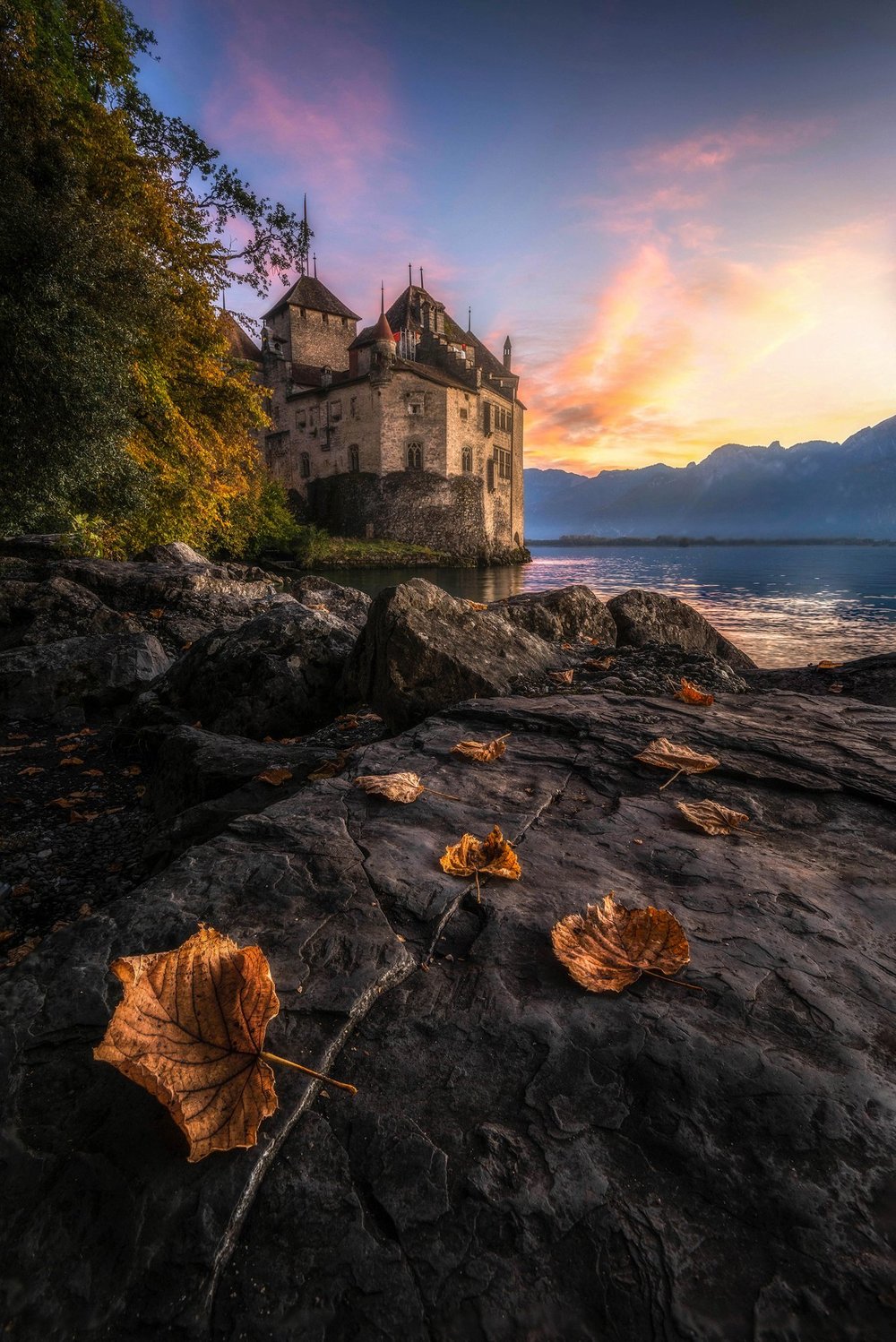 All photographs photo 91