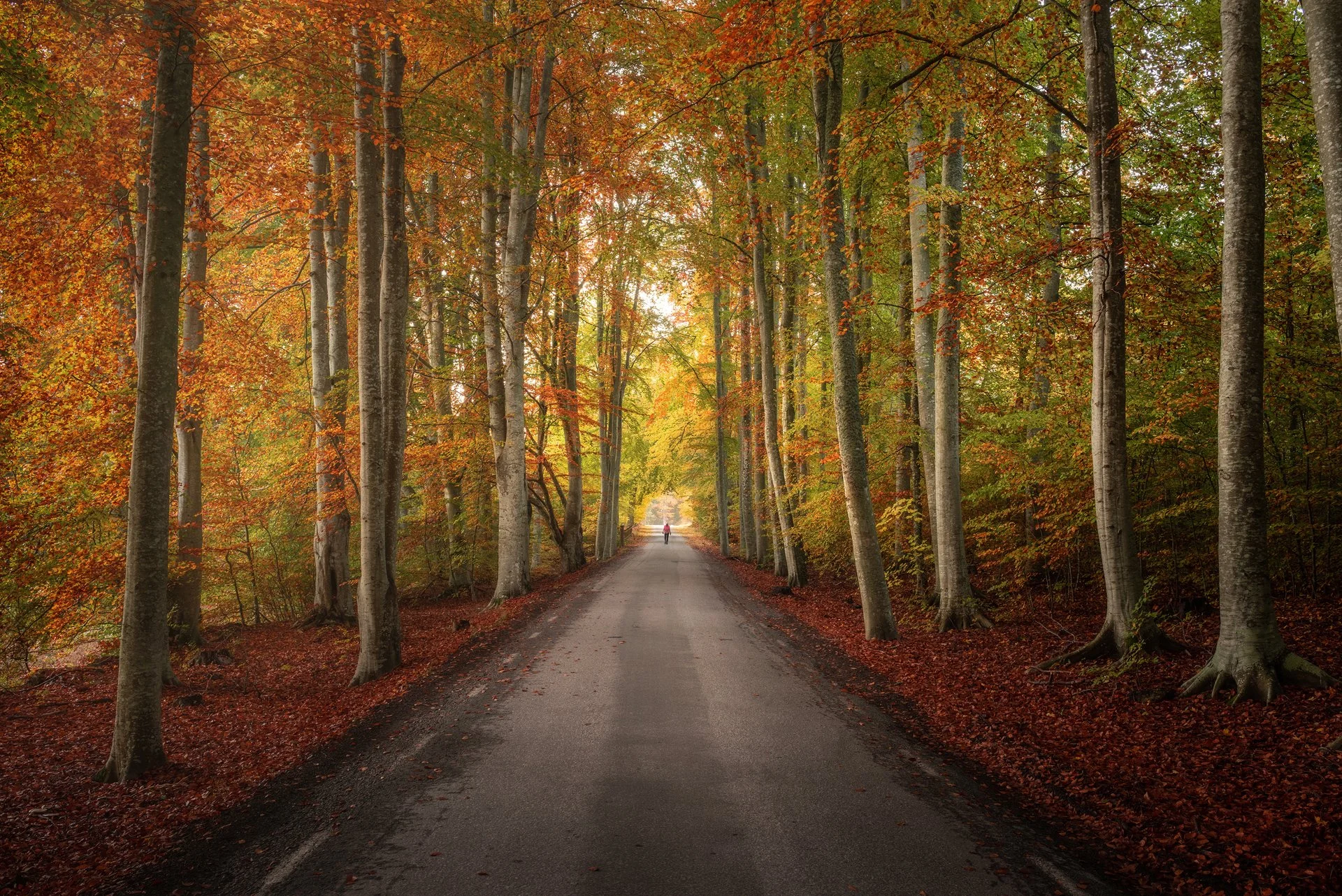 image-asset (26).jpeg