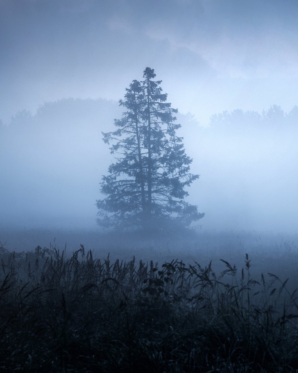 All photographs photo 88