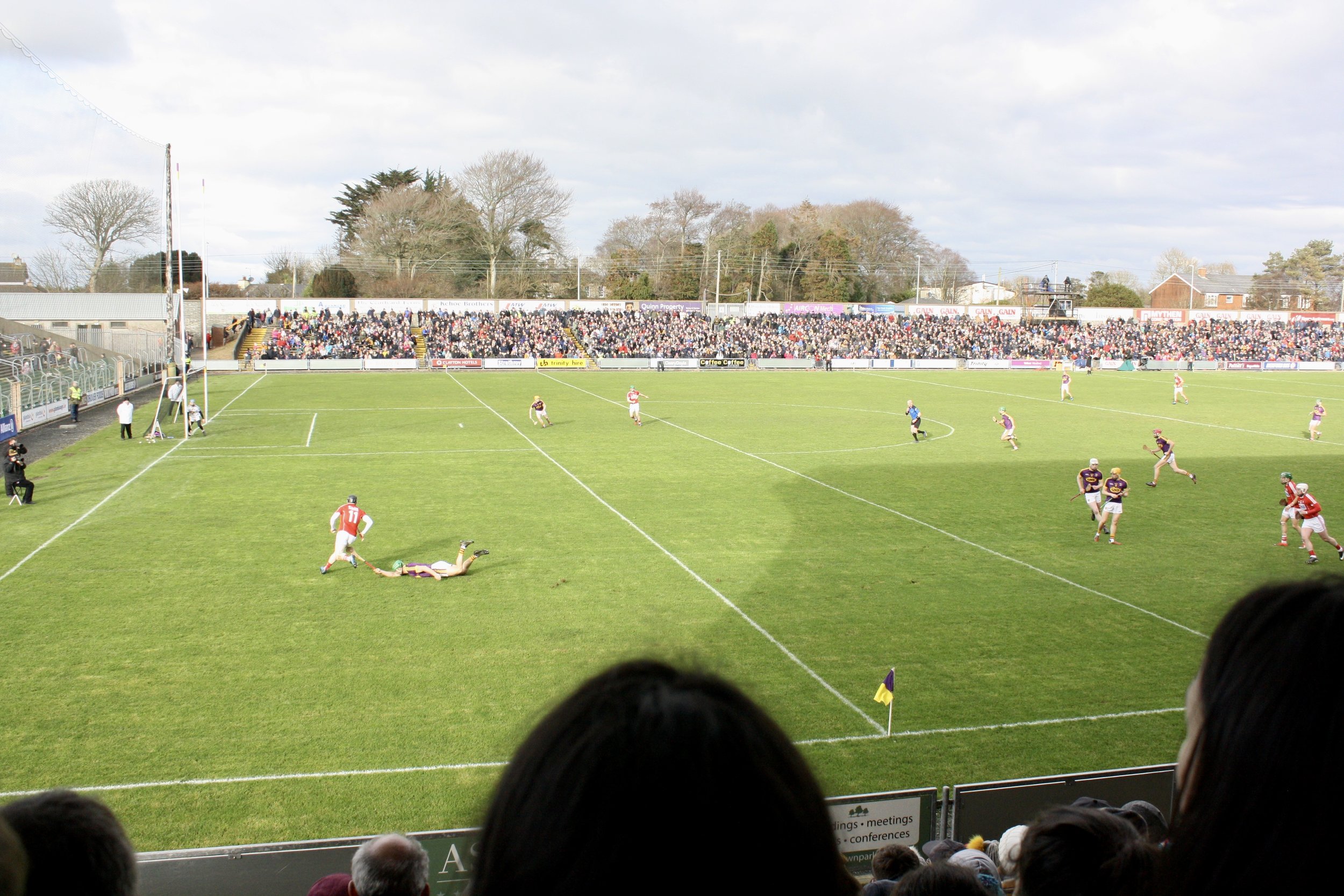In game action! Wexford, is purple and gold. The stadium holds 25,000 people! 