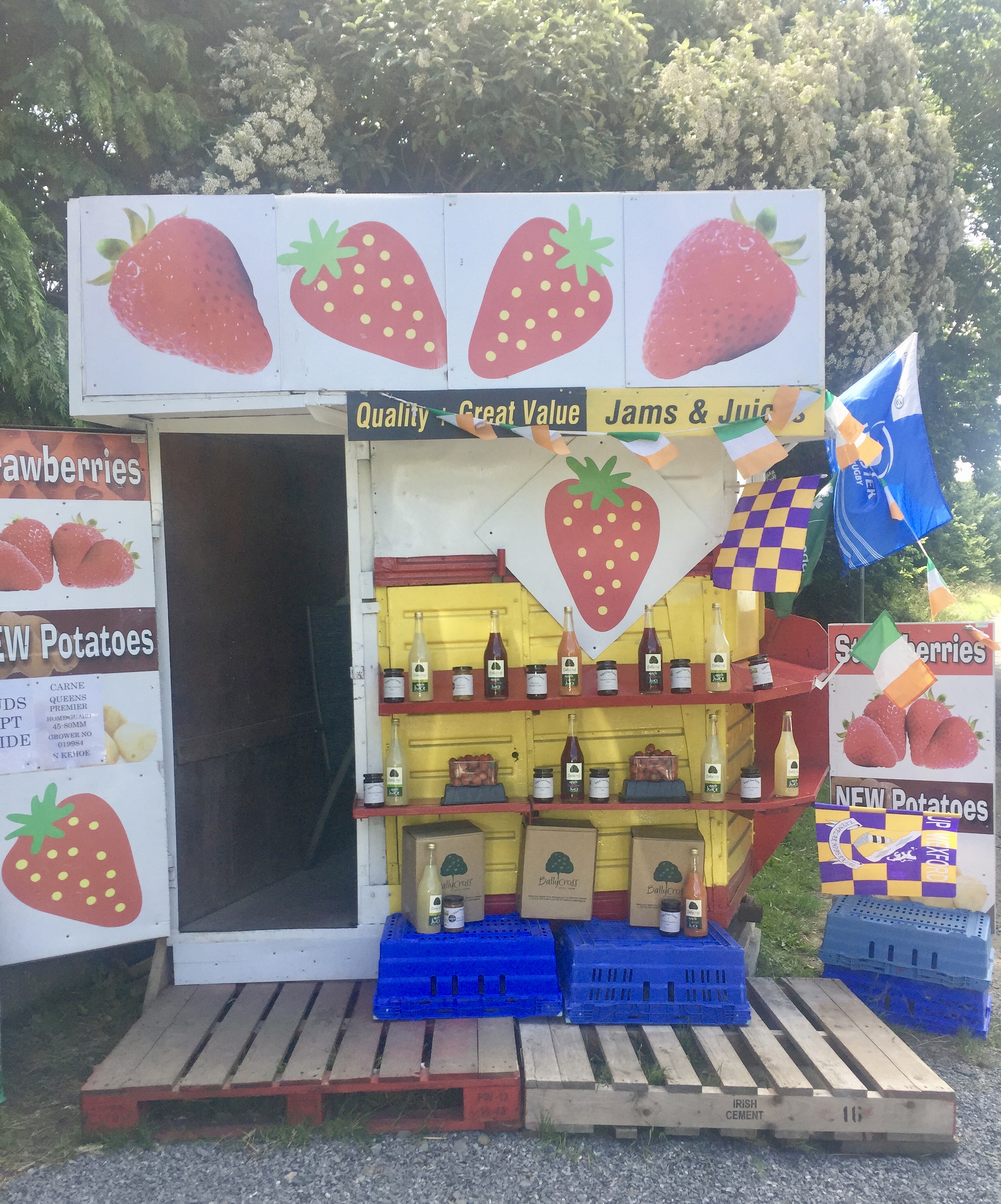 Wexford Strawberries 
