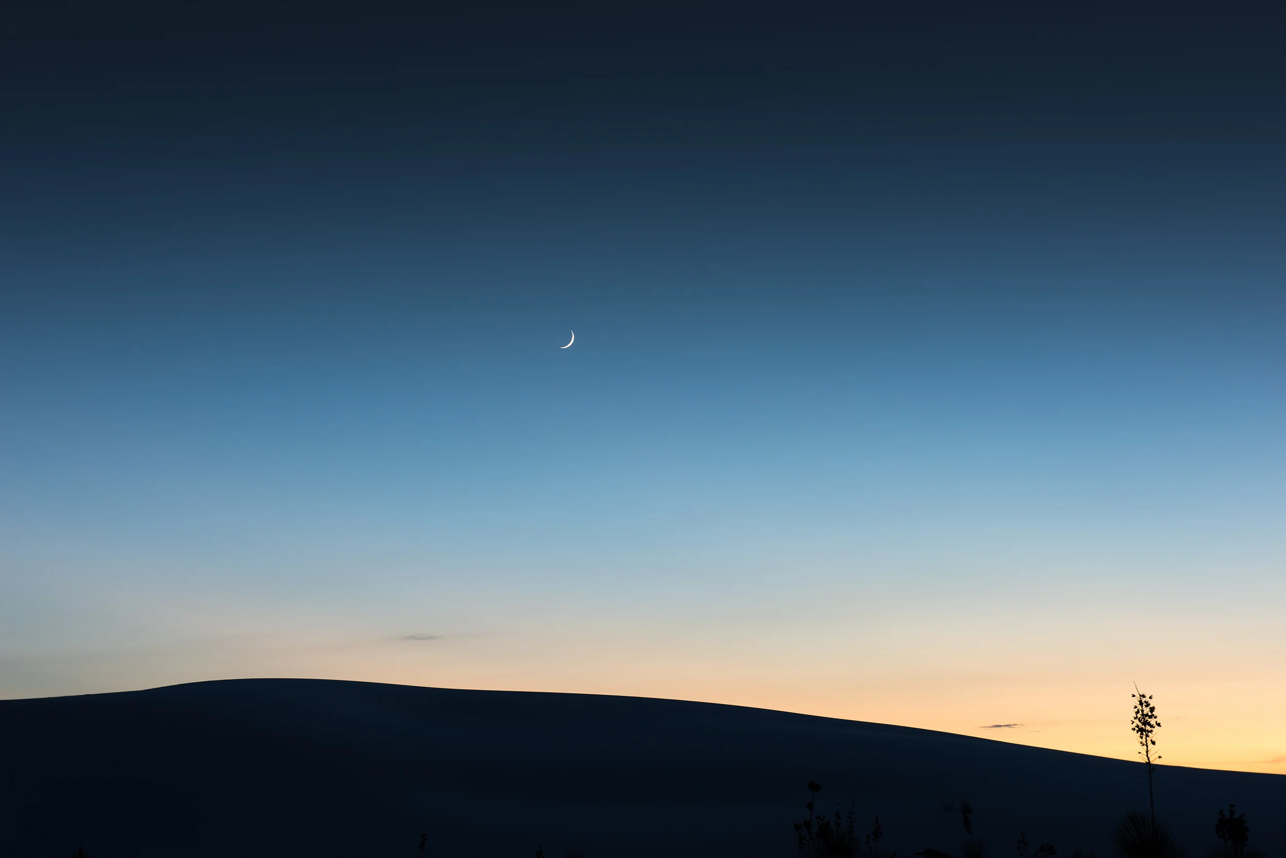 WS Moonset.jpg