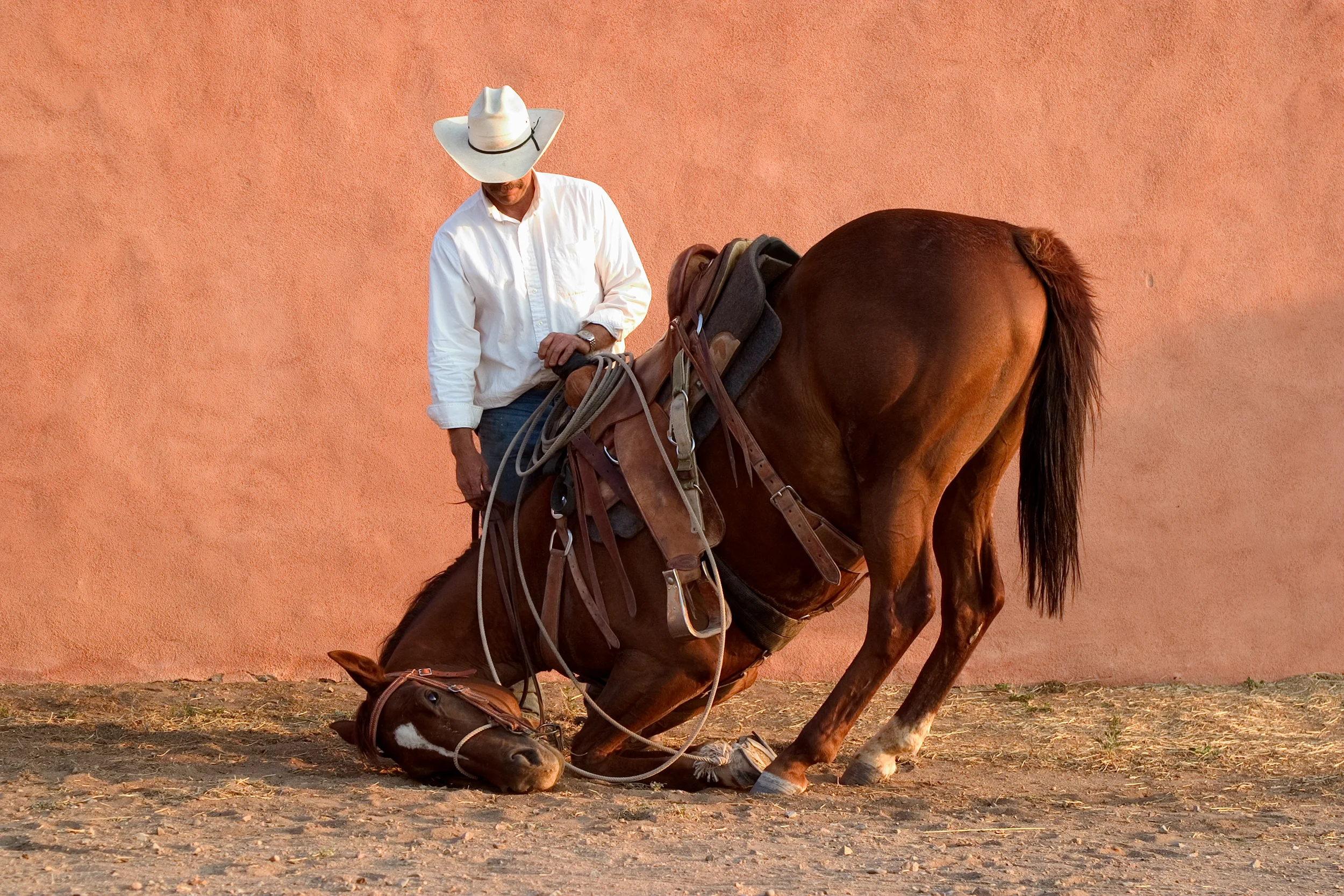 Sparrow and Her Cowboy Richard, San Marcos, New Mexico 2004