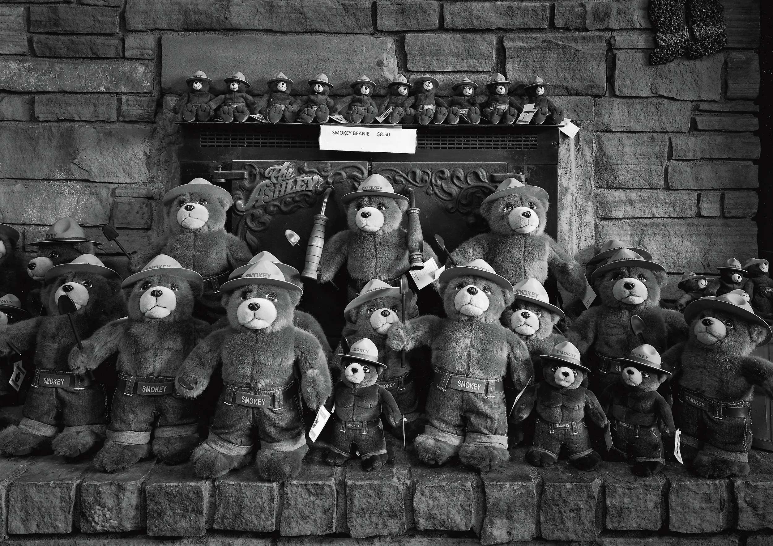 Smokey Bear, Capitan, New Mexico, 2010