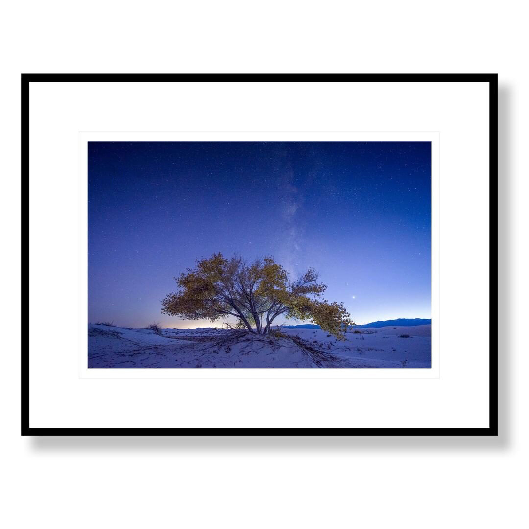 Original Fine Art Photographs