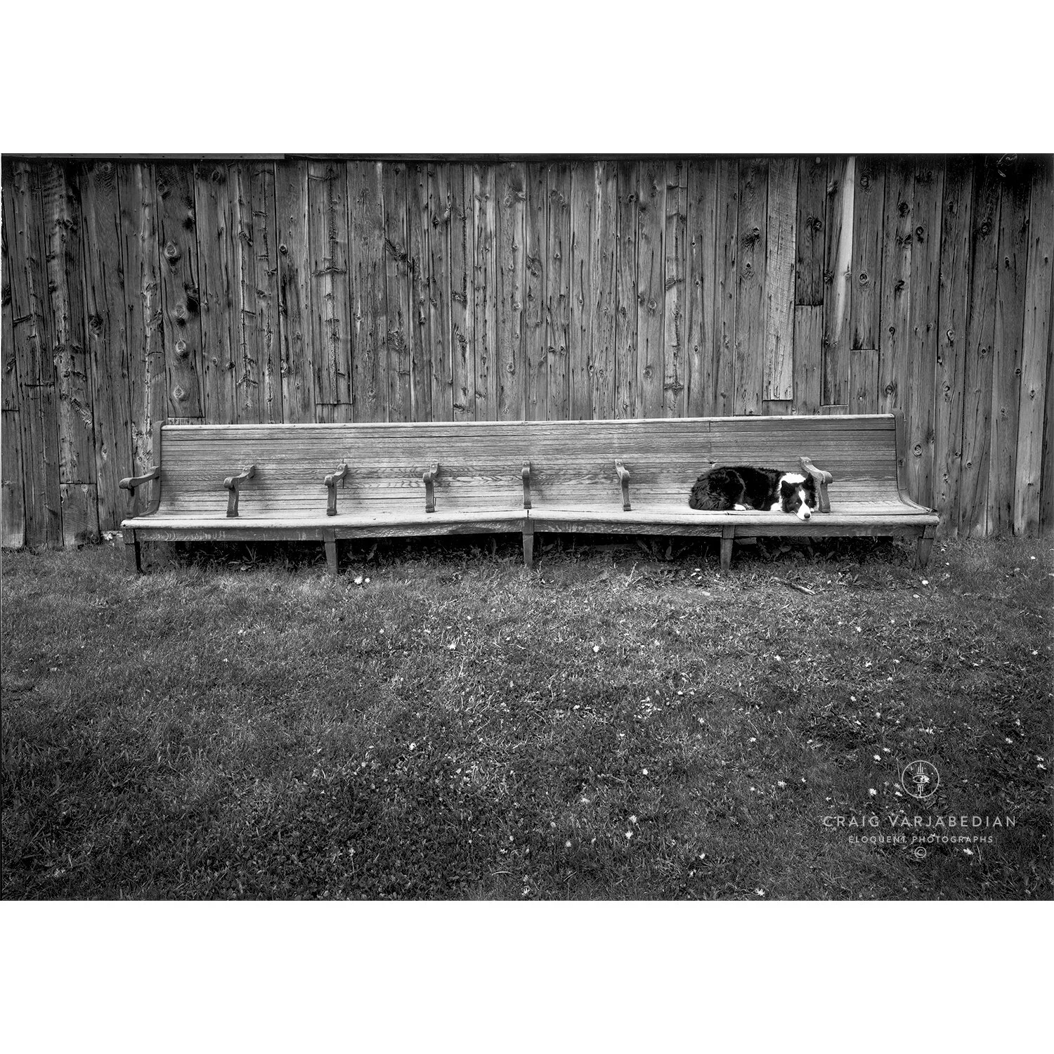 kali on RR bench-IG.jpg