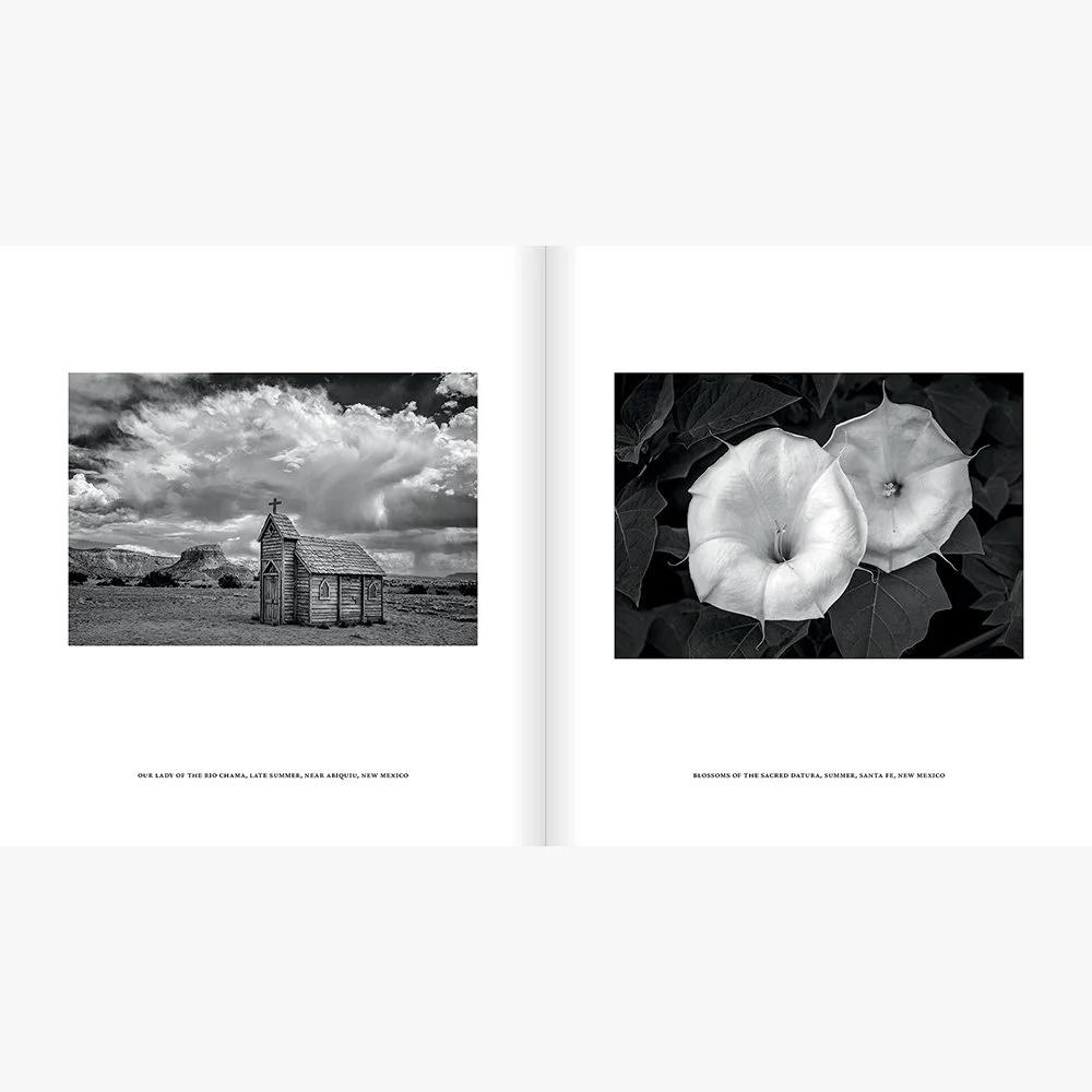 Varjabedian Gifts Artwork-pages13.jpg