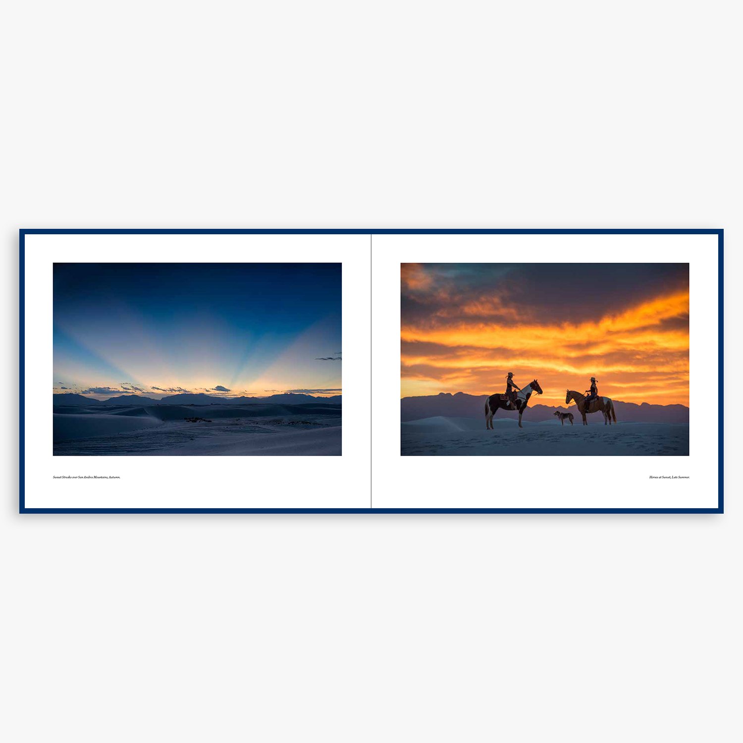 white sands sunset horses.jpg