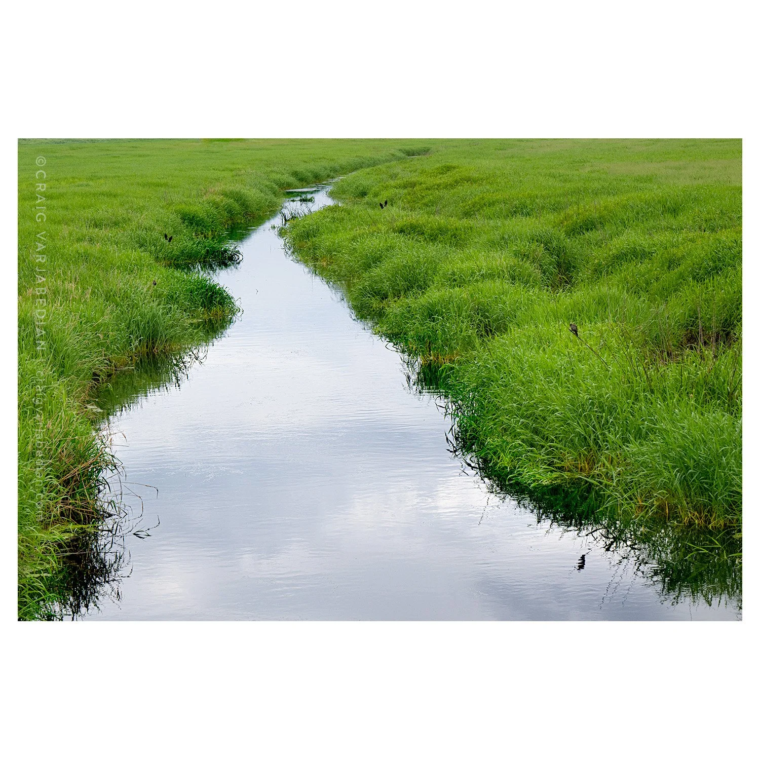 Creek Freeport MN_DSC8598-IG.jpg