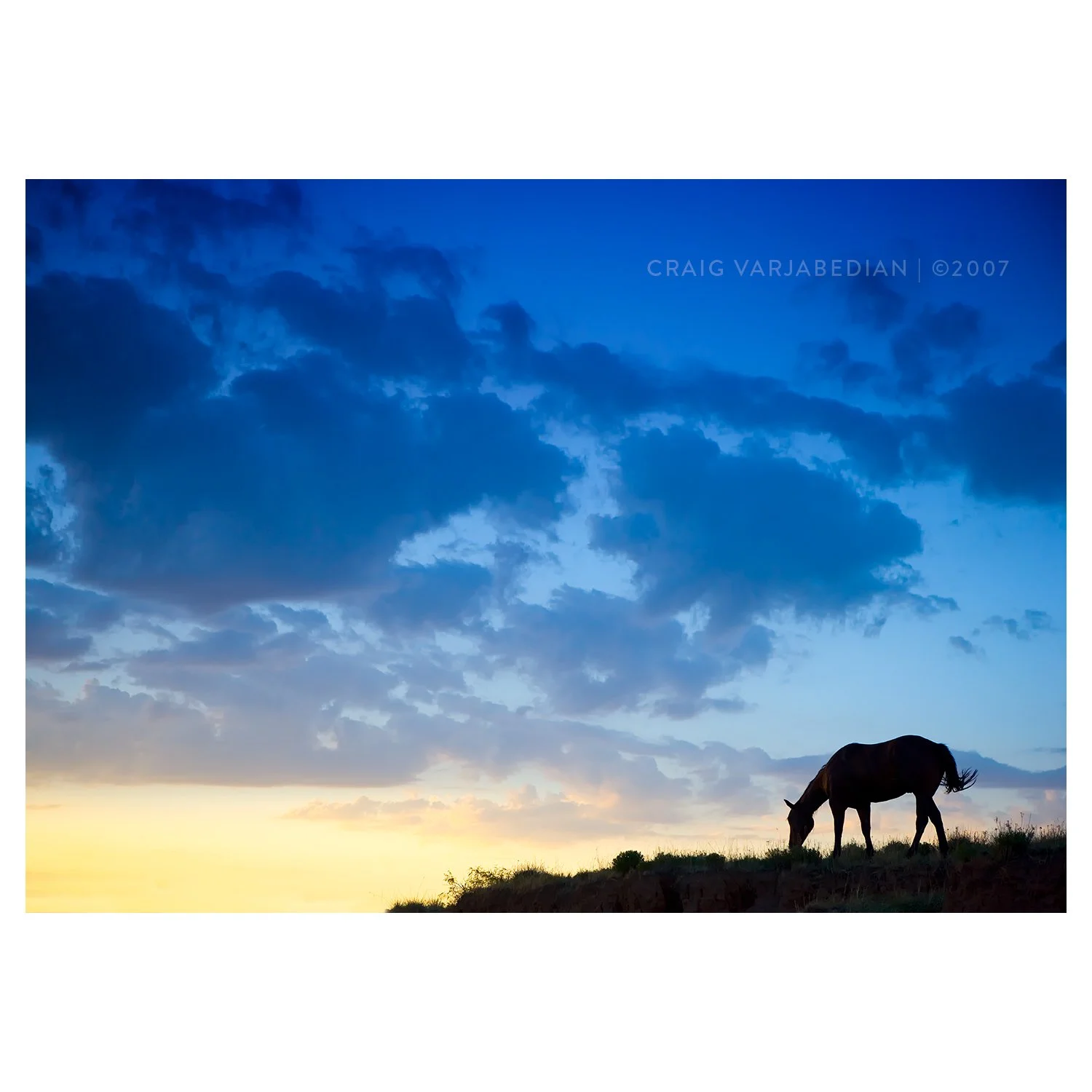 horse_sunrise-IG.jpg