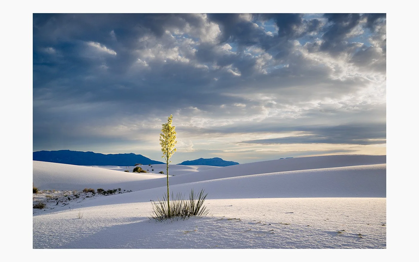 New Yucca Sunset_DSC2449-webpage 6.jpg
