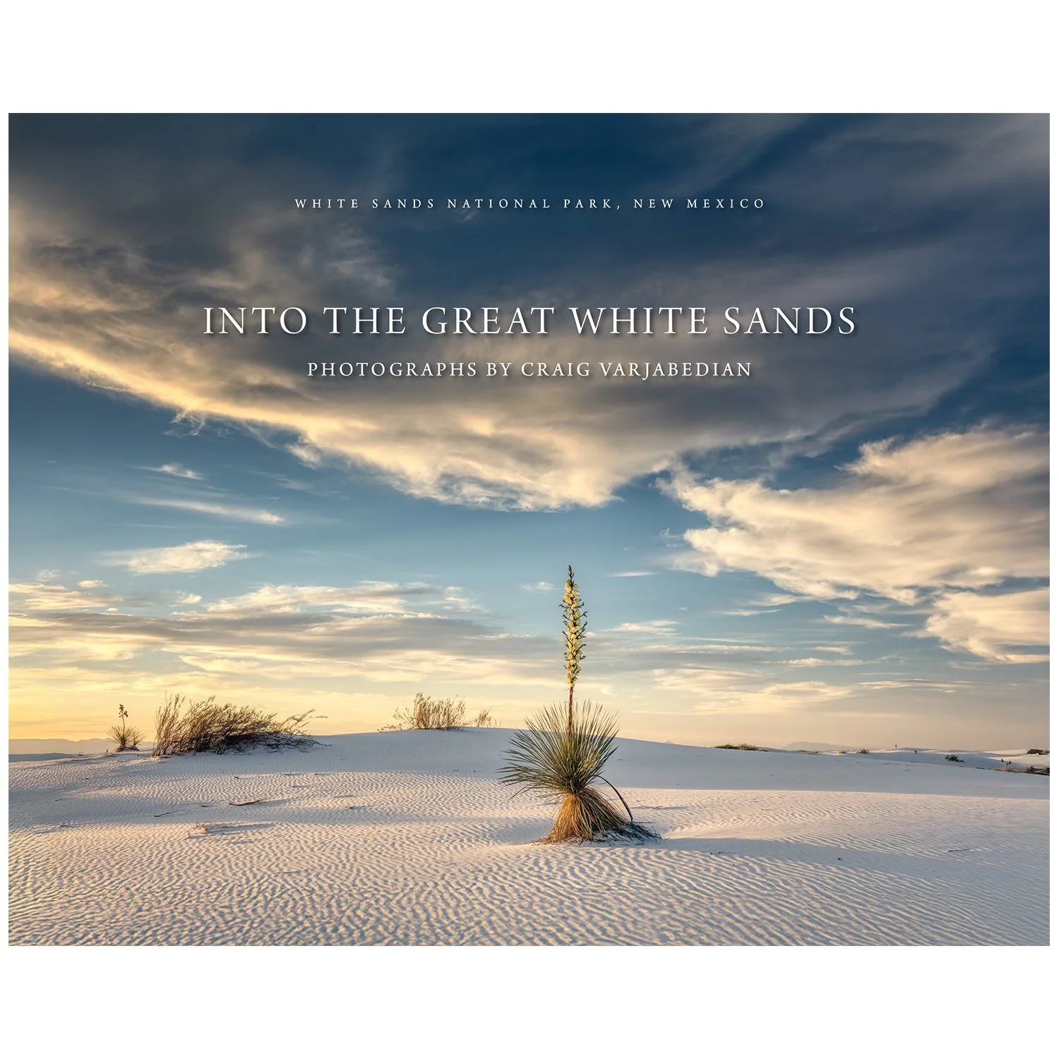 pOost Card Artwork-enlarged.jpg