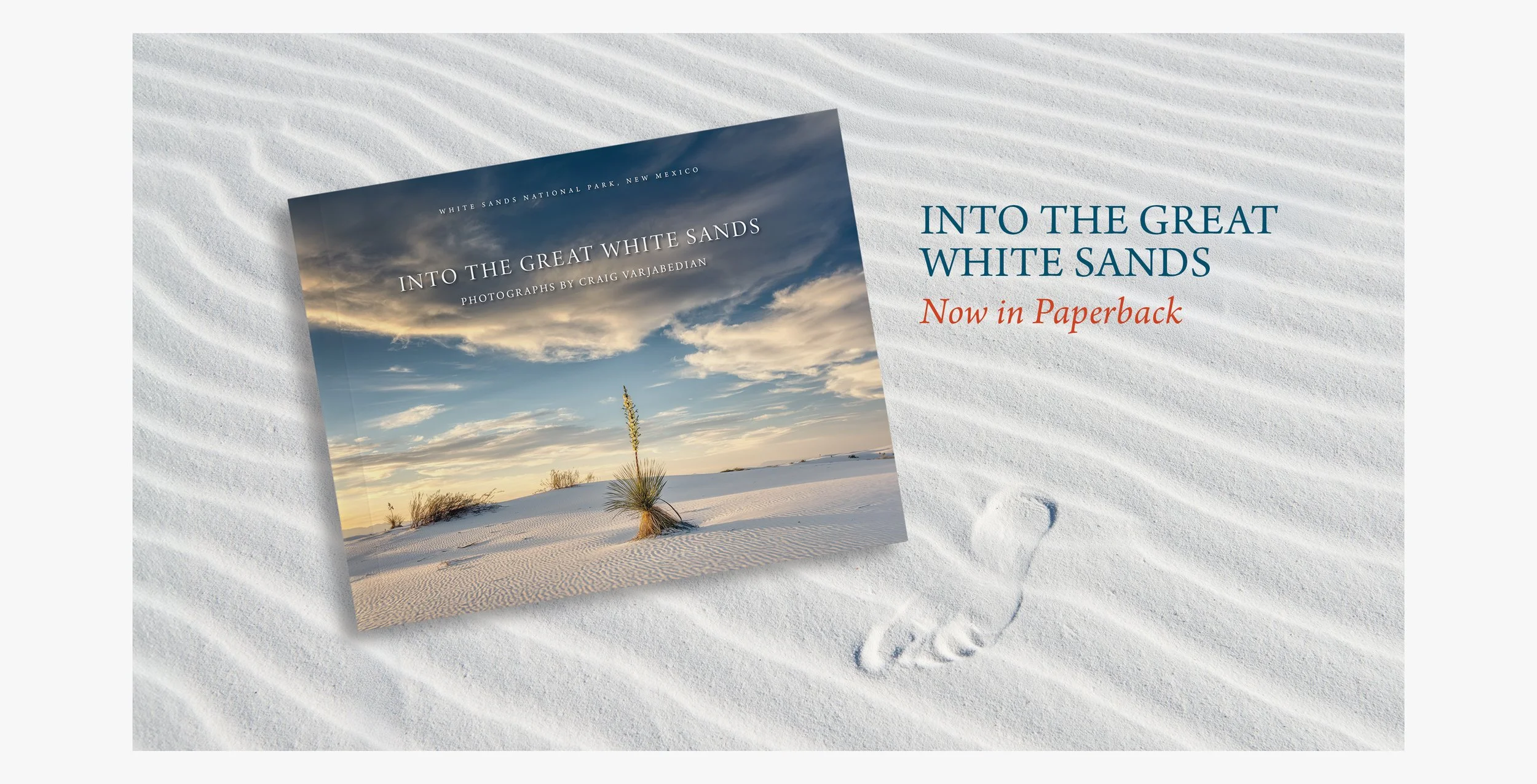 Banner Web Site-5in.jpg