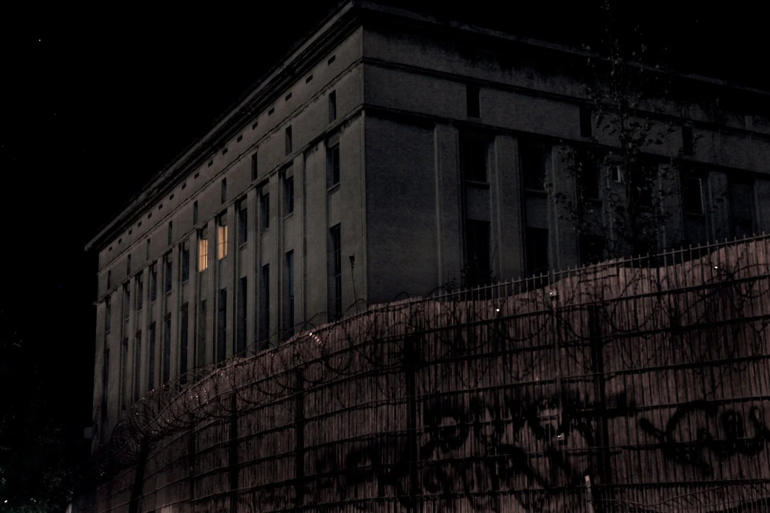 Wild and Untamed Berlin