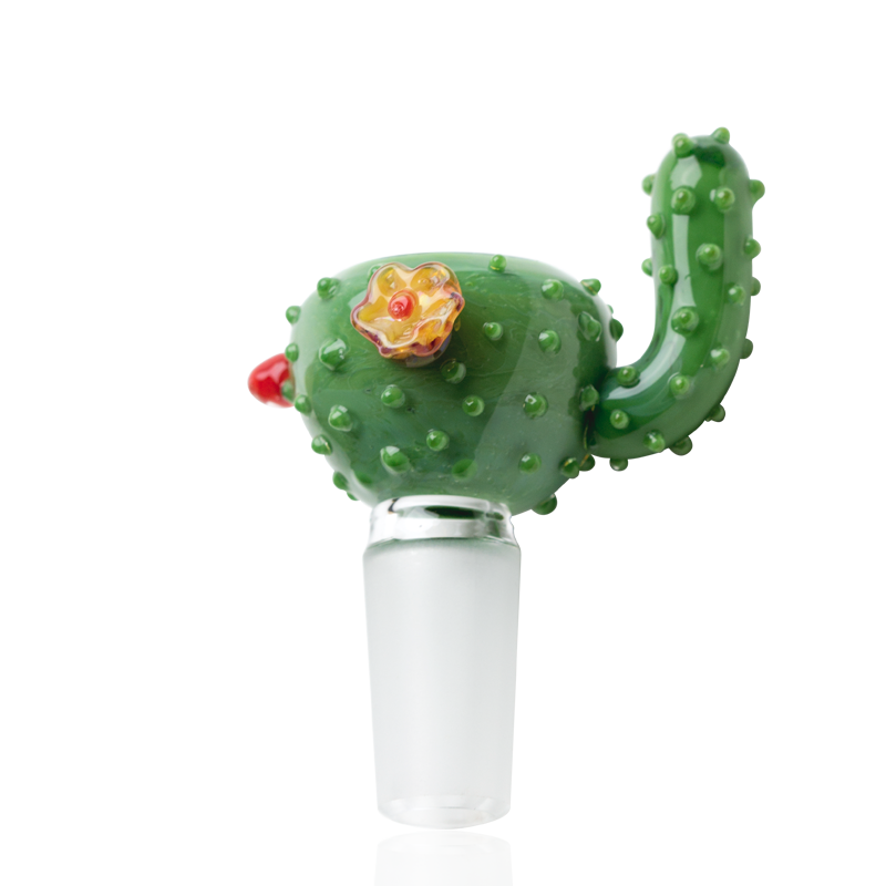 cactus.png