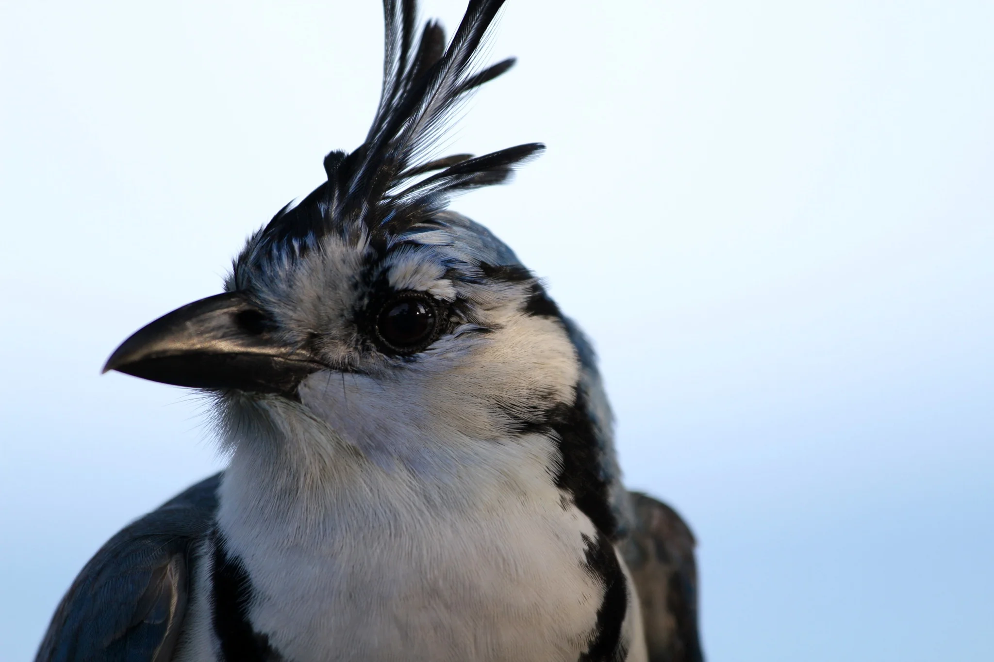 The most popular question I'm asked