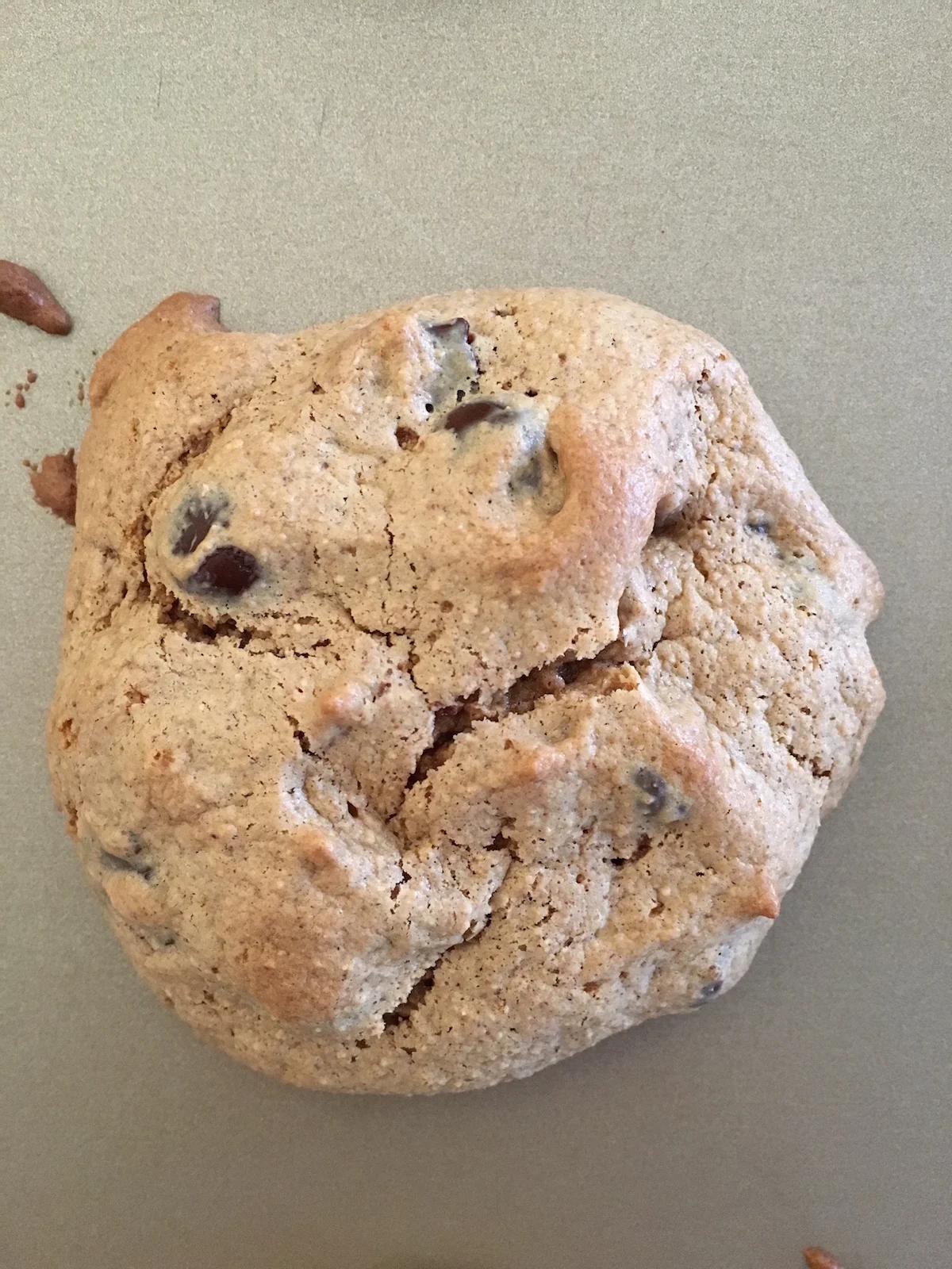 Paleo Chocolate Chip Cookies