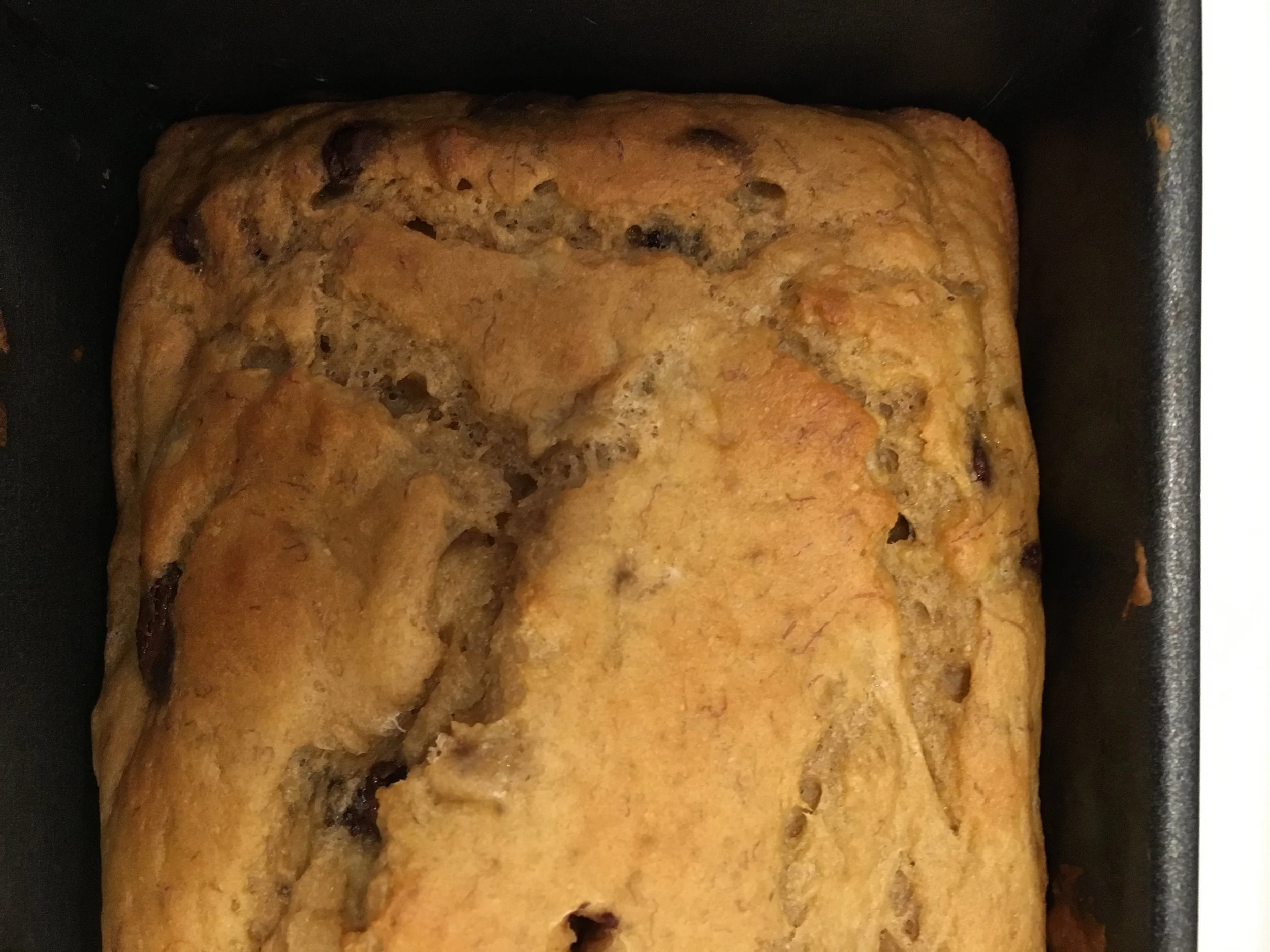 Honey Sweet Banana Chocolate Chip Bread