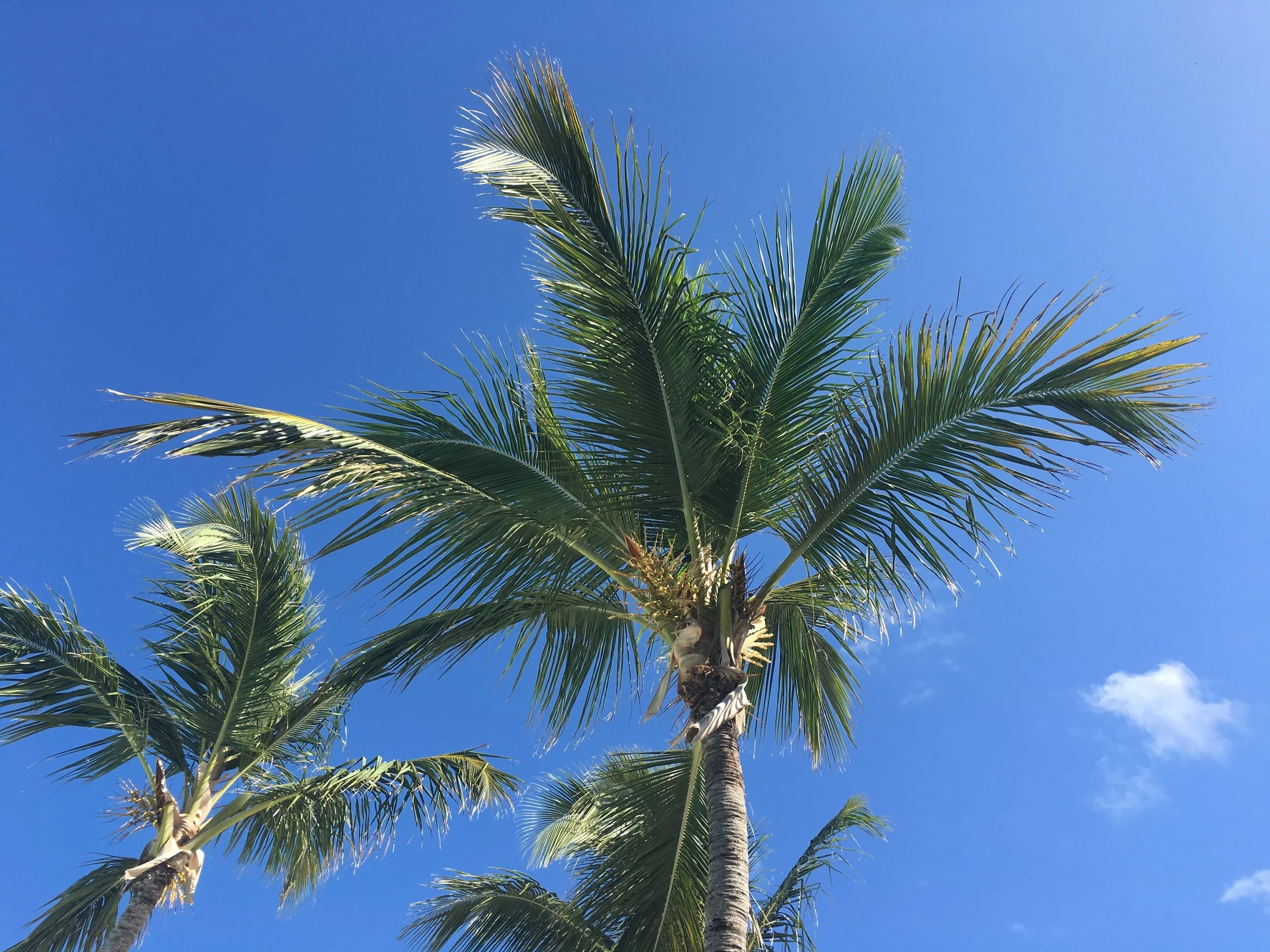Travel Tips: Staying Healthy On A Family Vacation