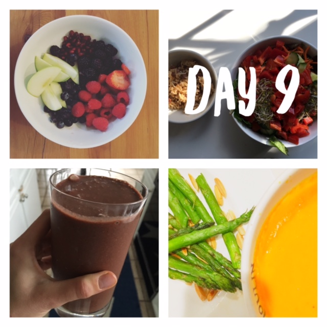 Ultimate Reset Day 9