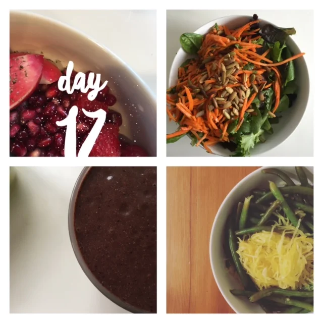 Day 17 Meals