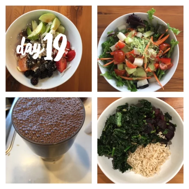 Ultimate Reset Day 19