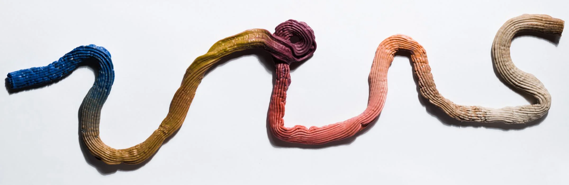 extrusion-5520_cropped.jpg