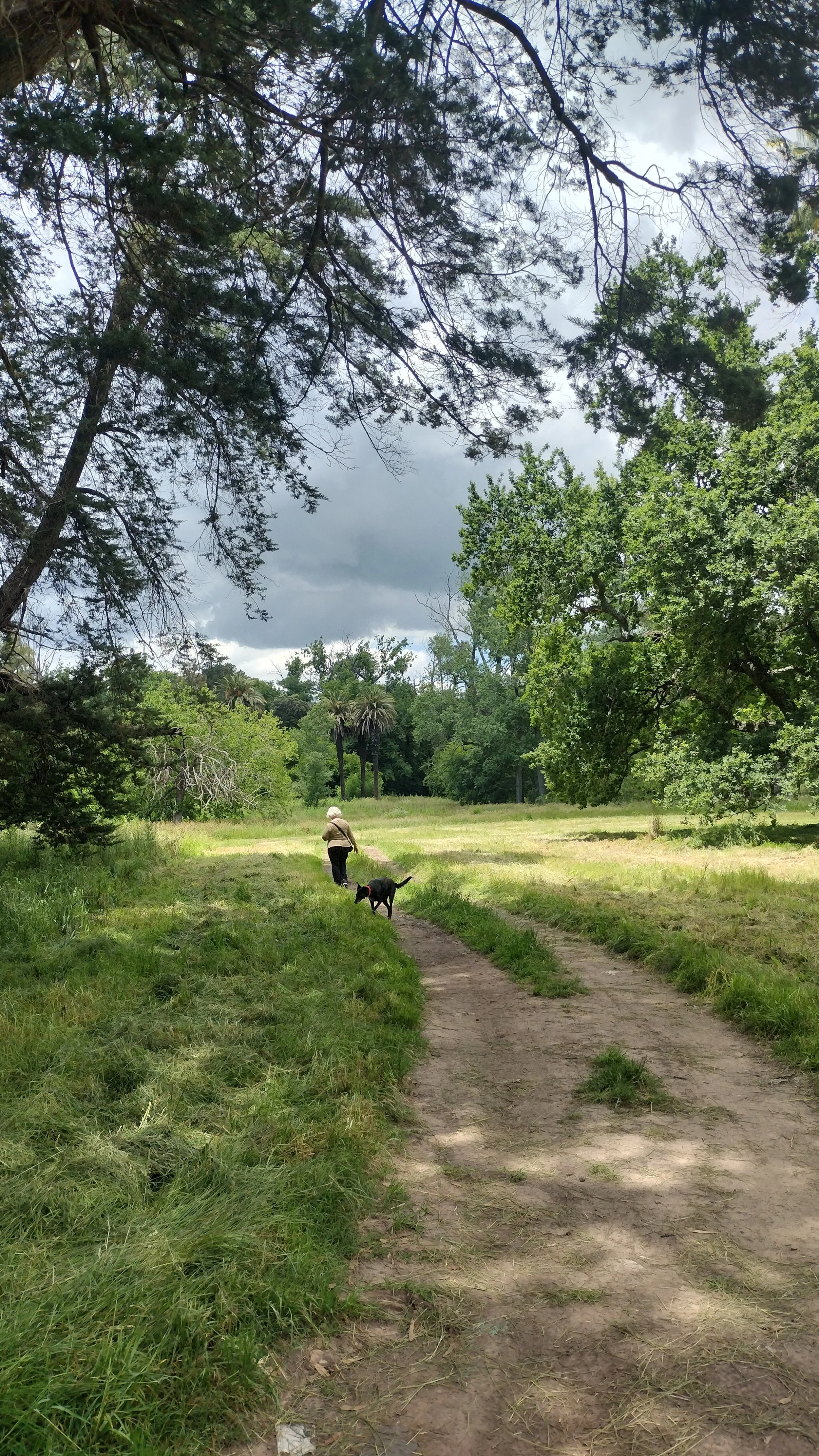 IMG_20251108_115633829_HDR.jpg