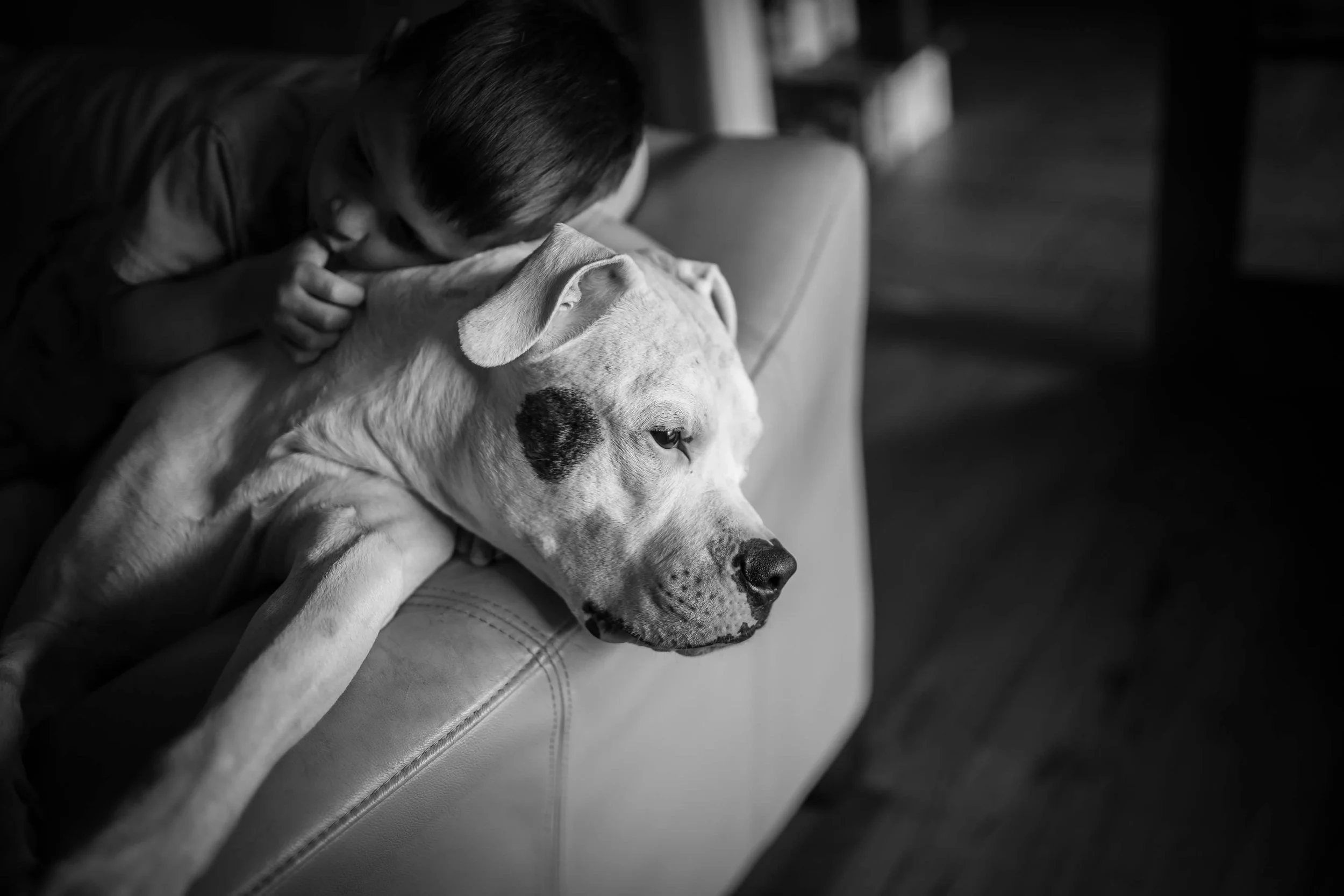 Maine Newborn Photographer // Why Is Photography So Important