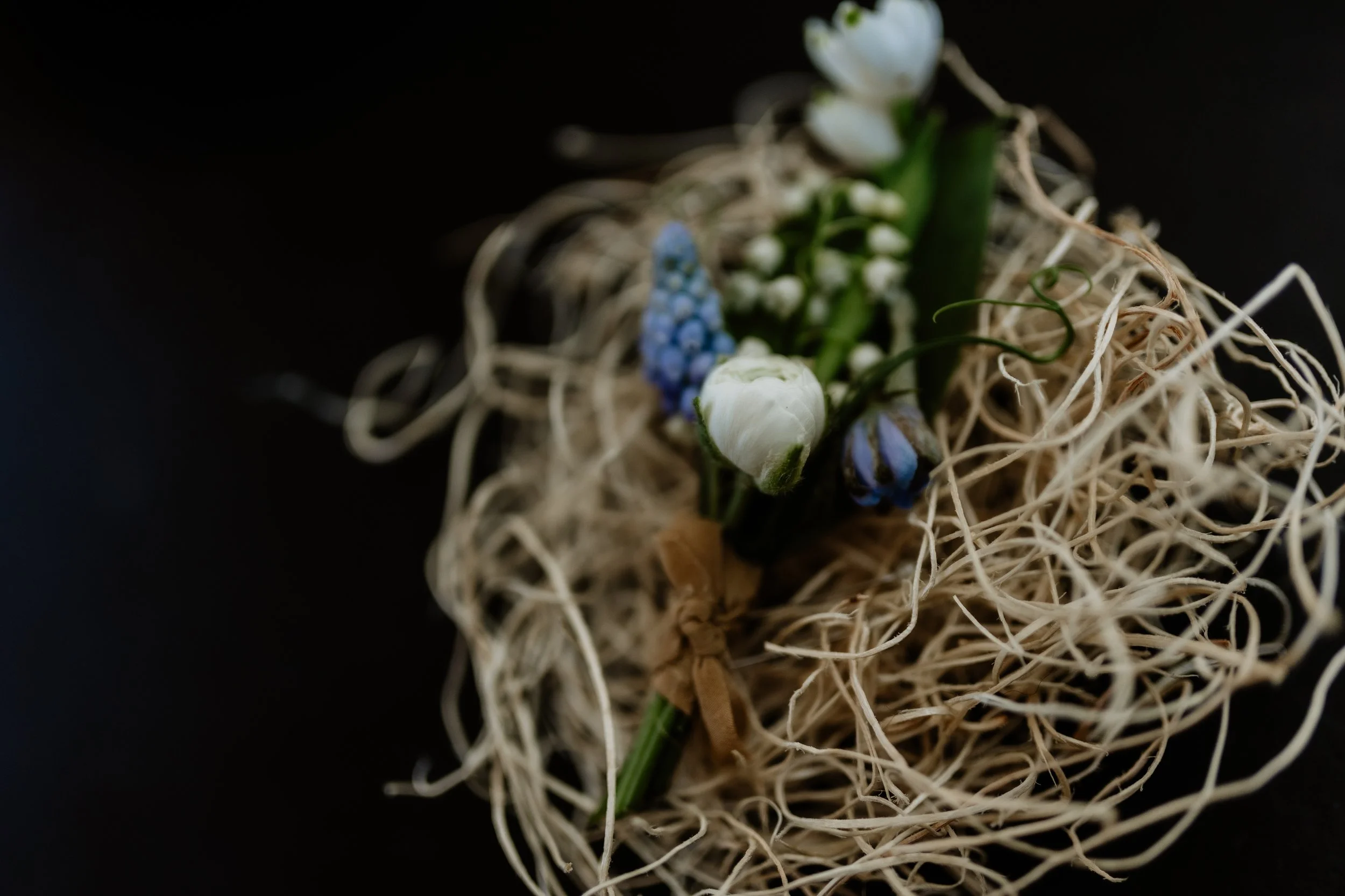 Val Bozzi Photography-1391.jpg