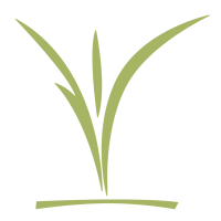 CCC_childrens_logo_green-small.png