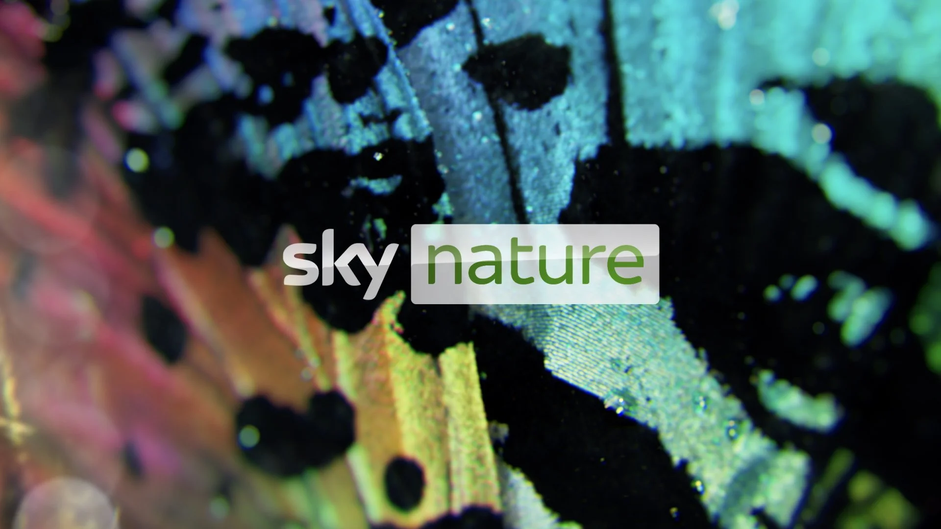 Sinyee portfolio.001.jpeg