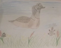 Youth_Art_For_Healing_YAFH_NWHS_Sketch#8_2016.jpeg