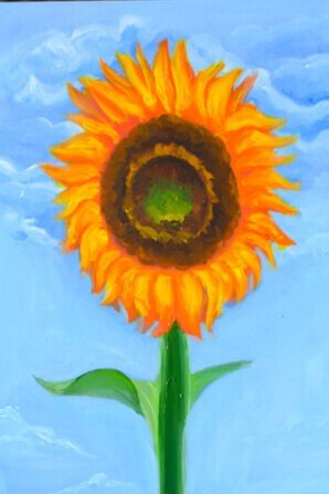 sunflower (2).jpg