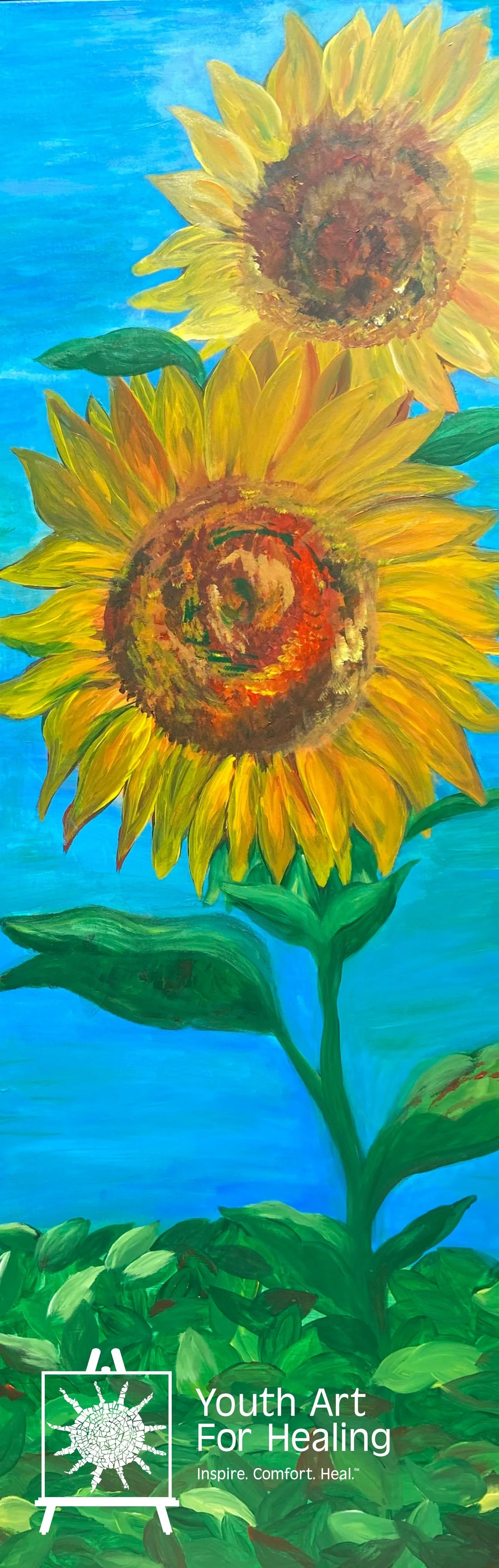 2017_UMD Chapter_CNFHROC_01.jpg