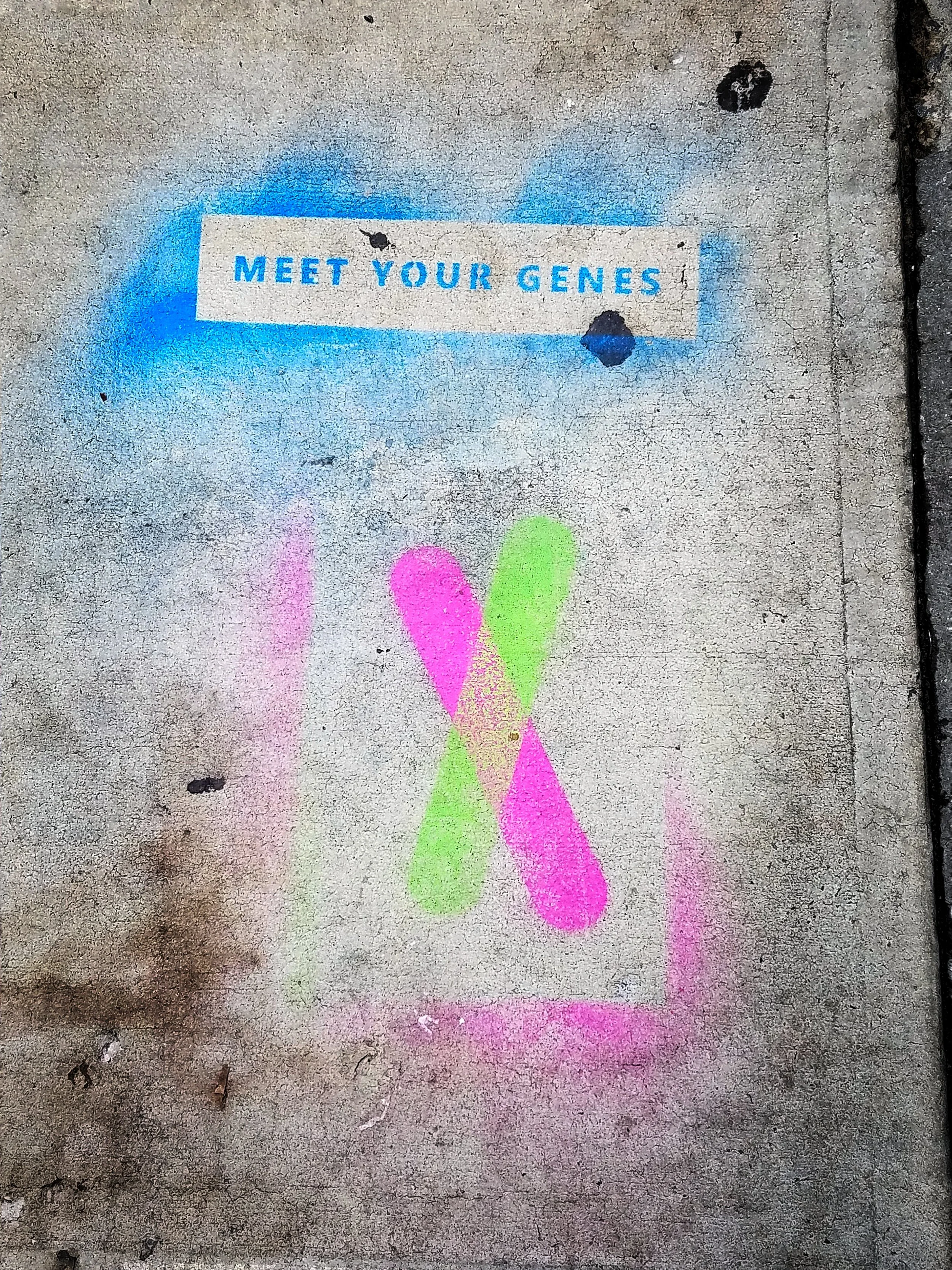 Follow the pink and green chromosomes!