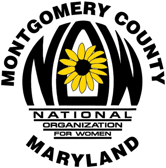 MCNOW Chapter Meeting