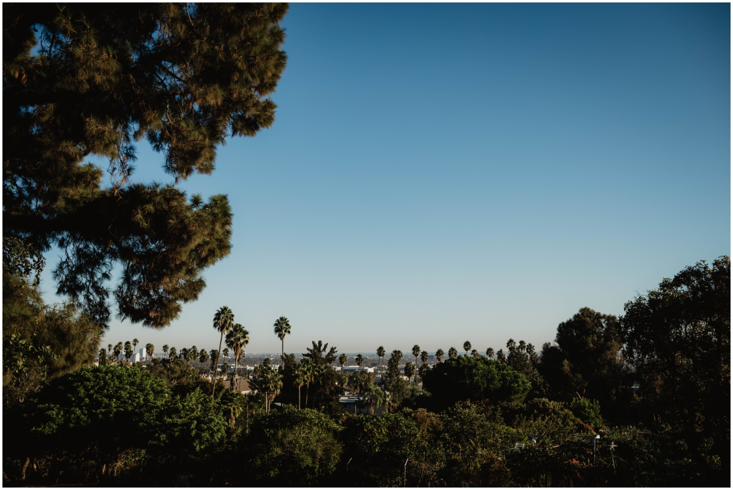 Romantic Hollywood Wedding_1530.jpg