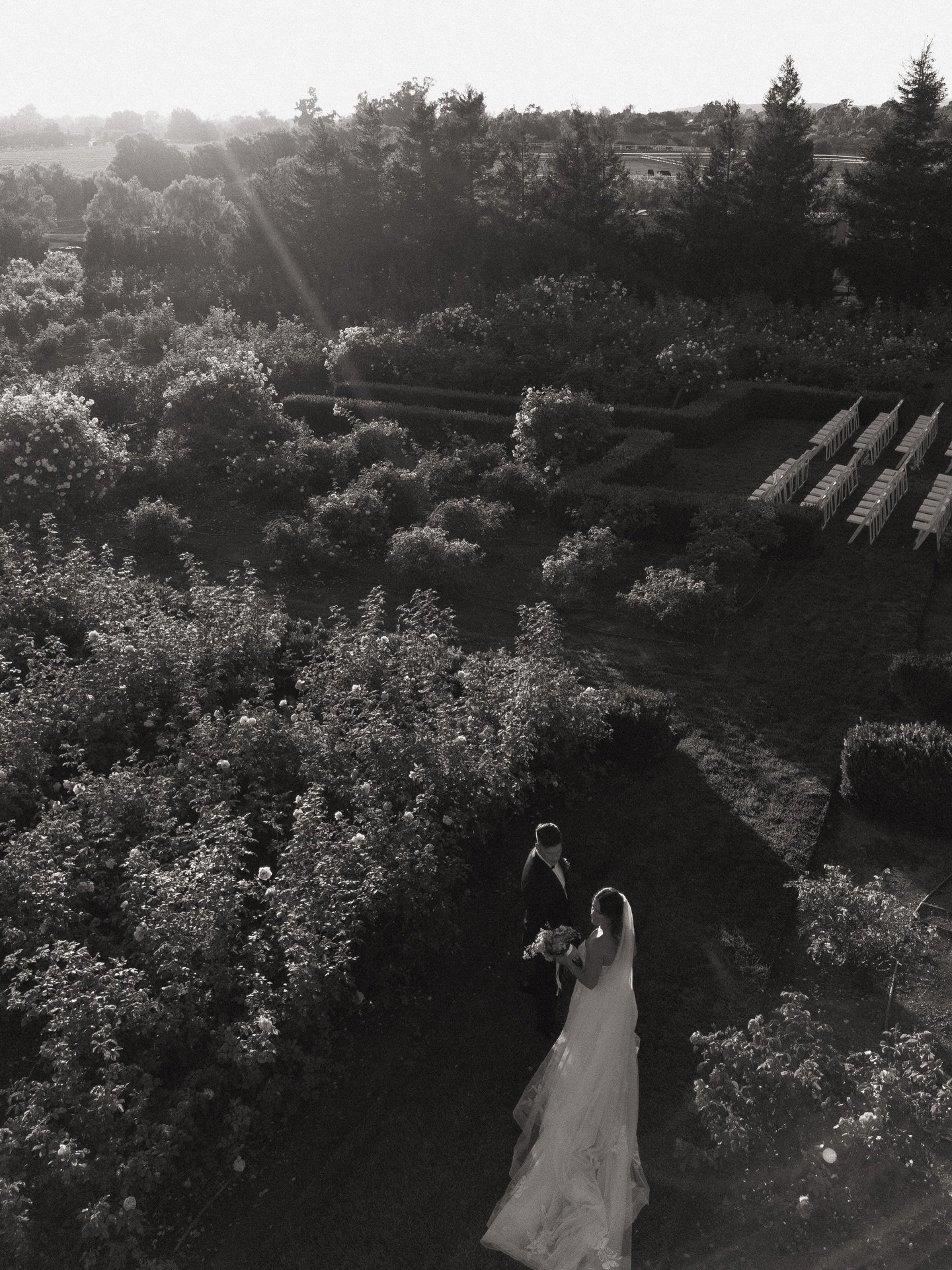 Sam + Phil

#gardenwedding #weddingphotography #wedding2026 #ojaiphotographer #weddingphotographer