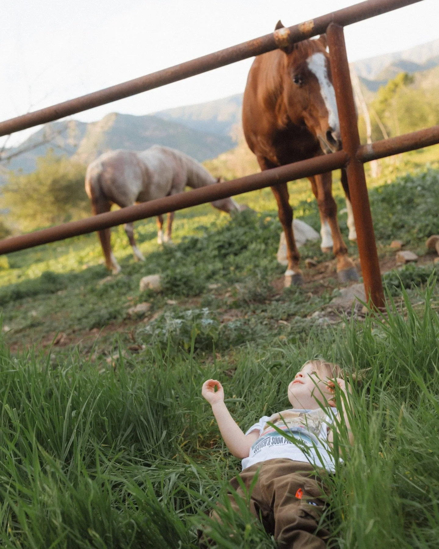 A little glimpse into this sweet family.

#familyphotoshoot #photography #candidphoto #family #photographer