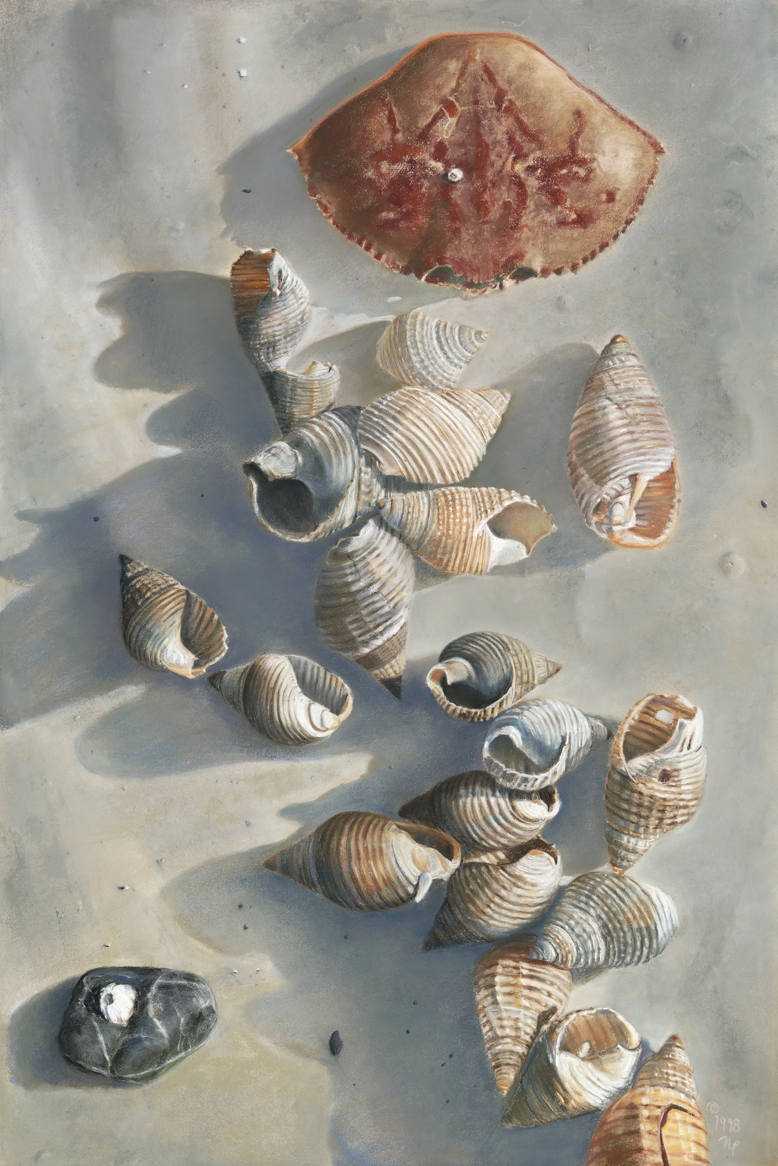 Shells on a Sandy Beach - 41"x 26"