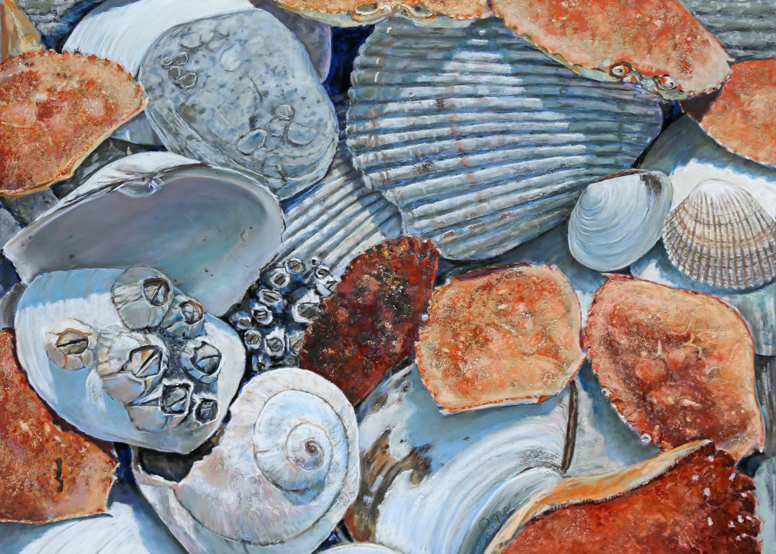   Shells of Puget Sound - 18"x 25"   Full/half size. Paper $188/146. Canvas $311/208.  