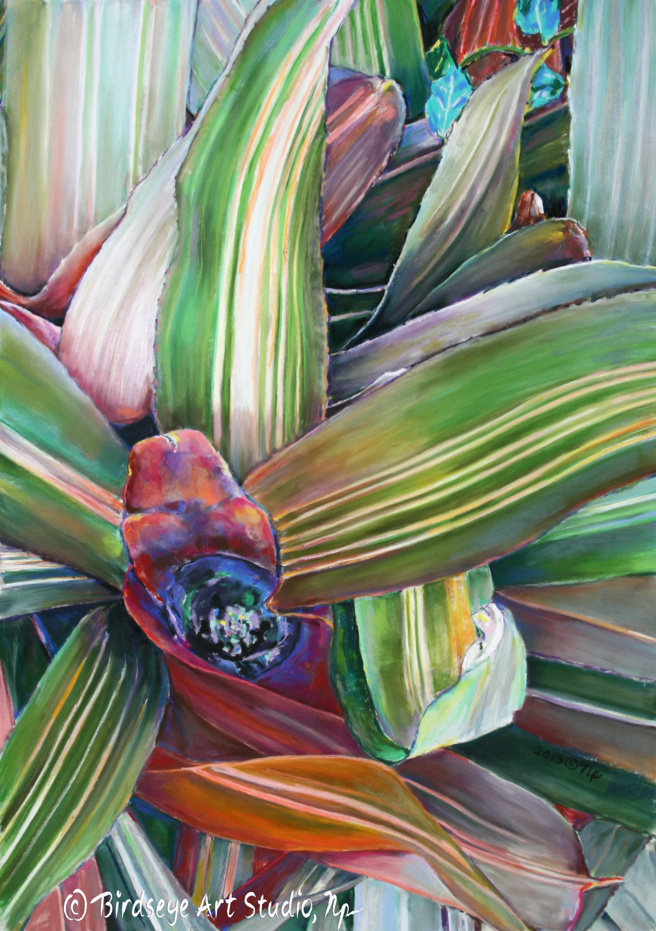 Bromeliad. Pastel. 25"x 18