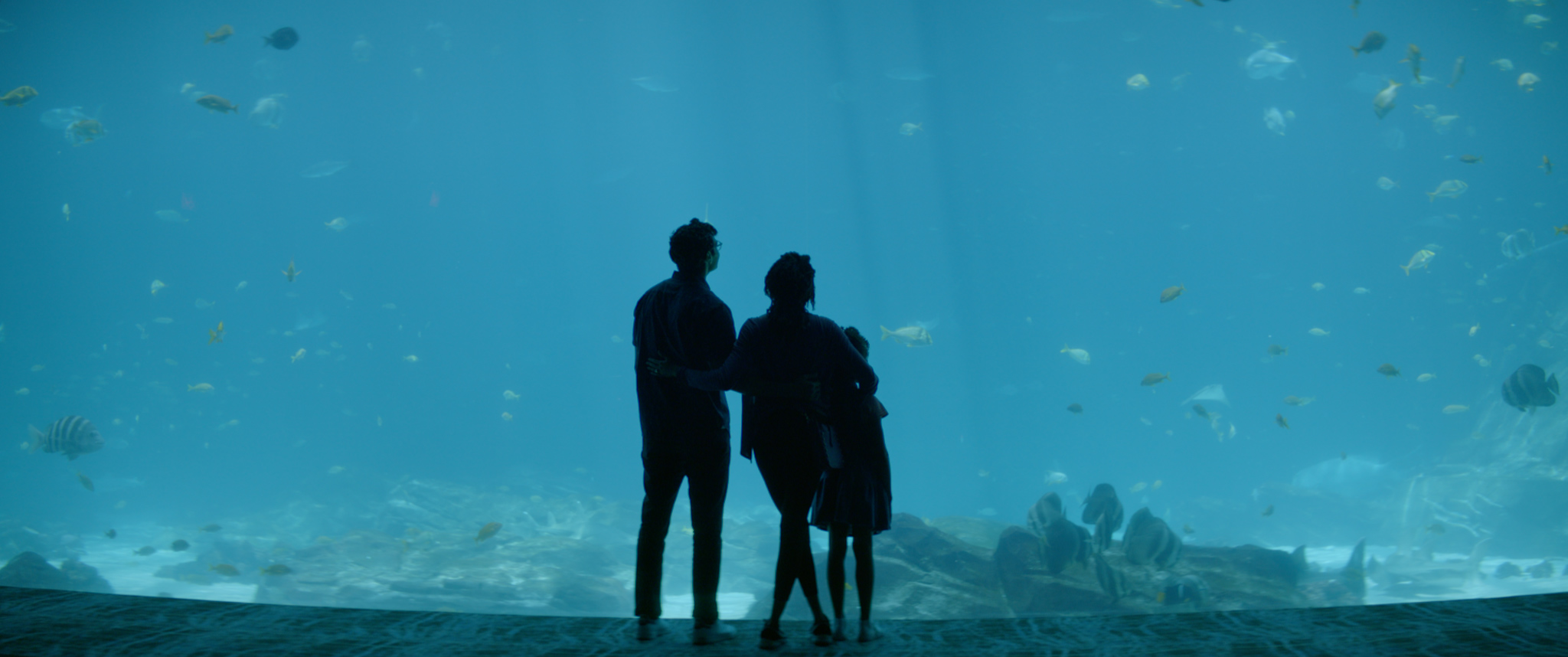 Aquarium "Another World" — Matthew Underwood