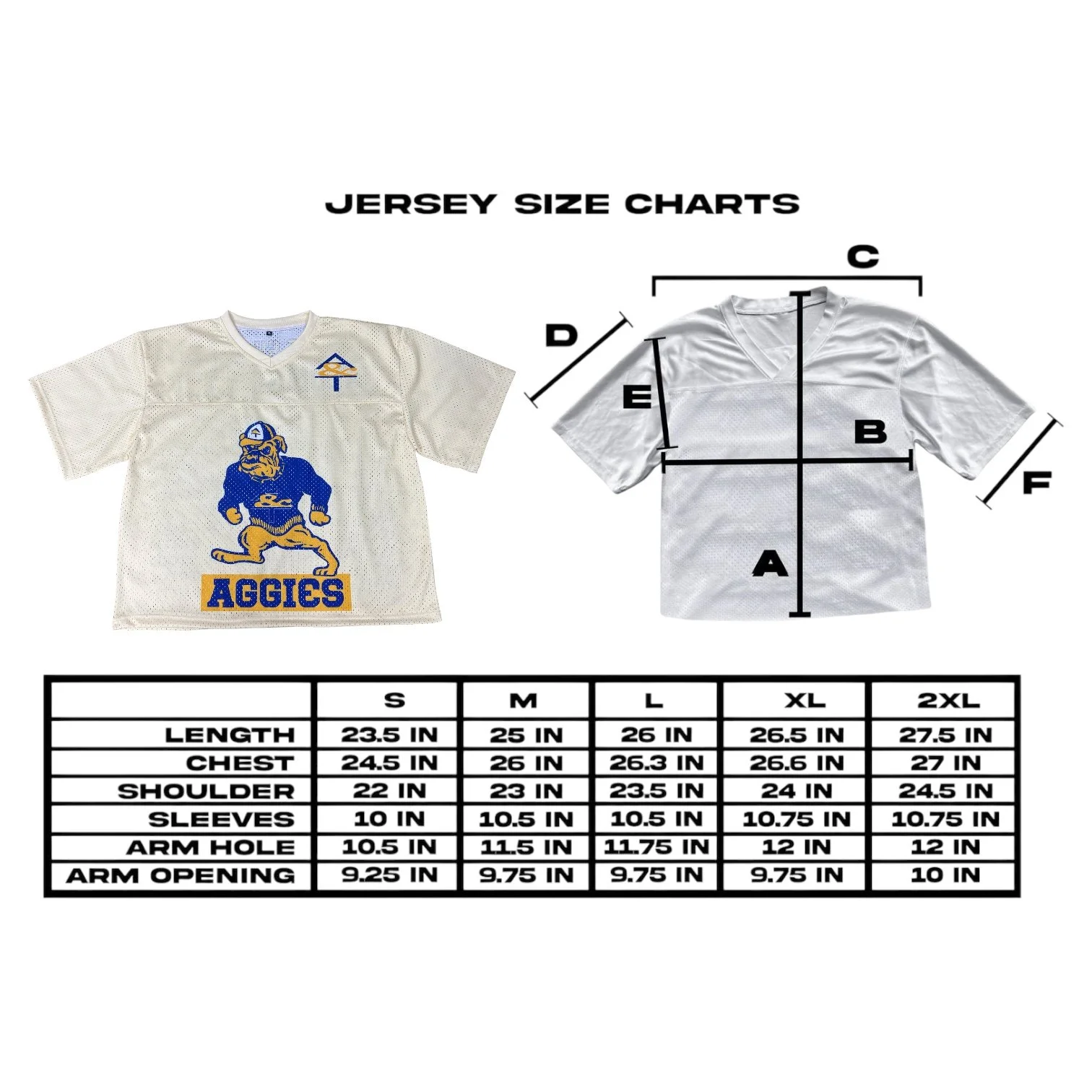 Photoroom_20250508_230707 2.JPEG