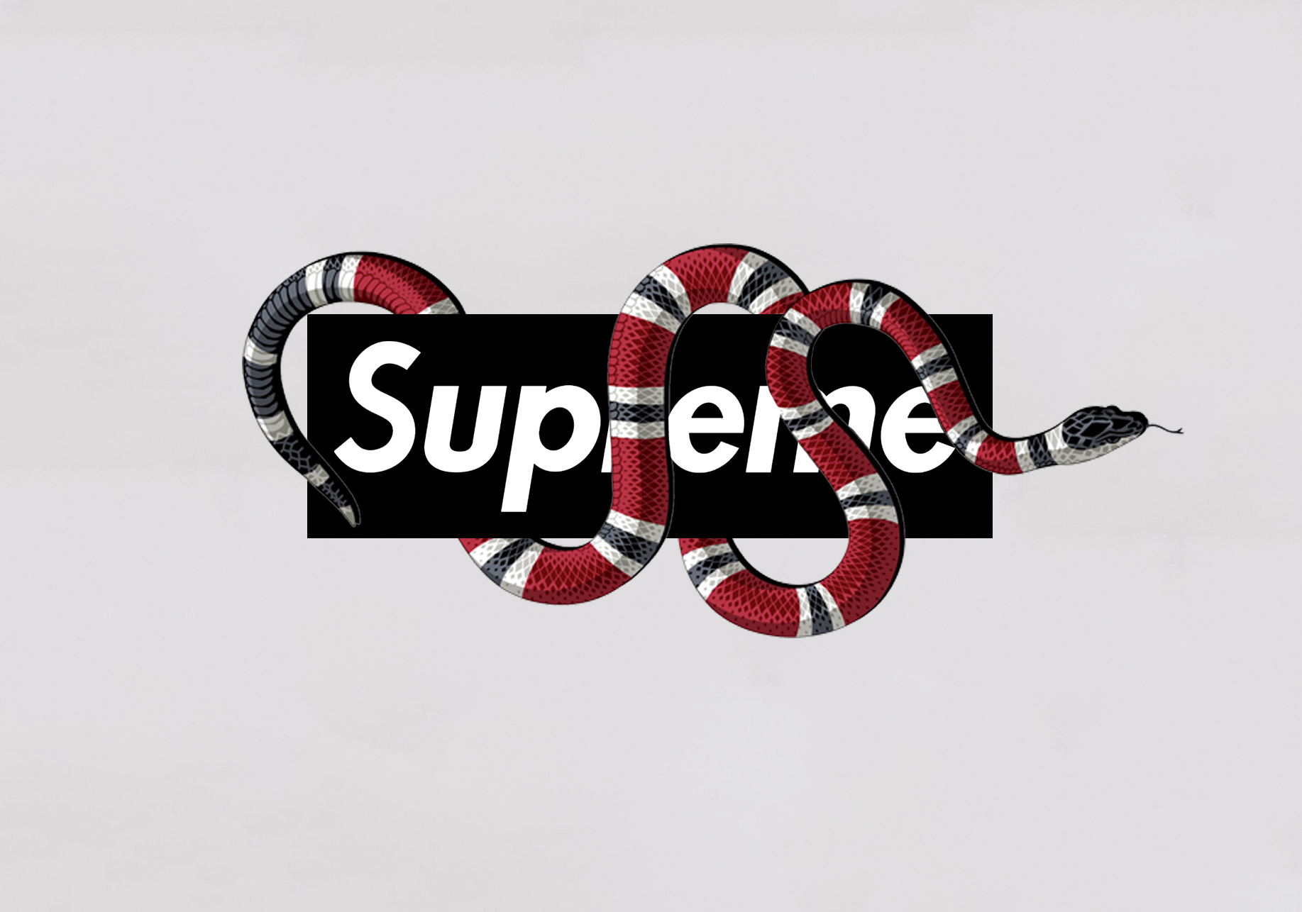 logo gucci snake