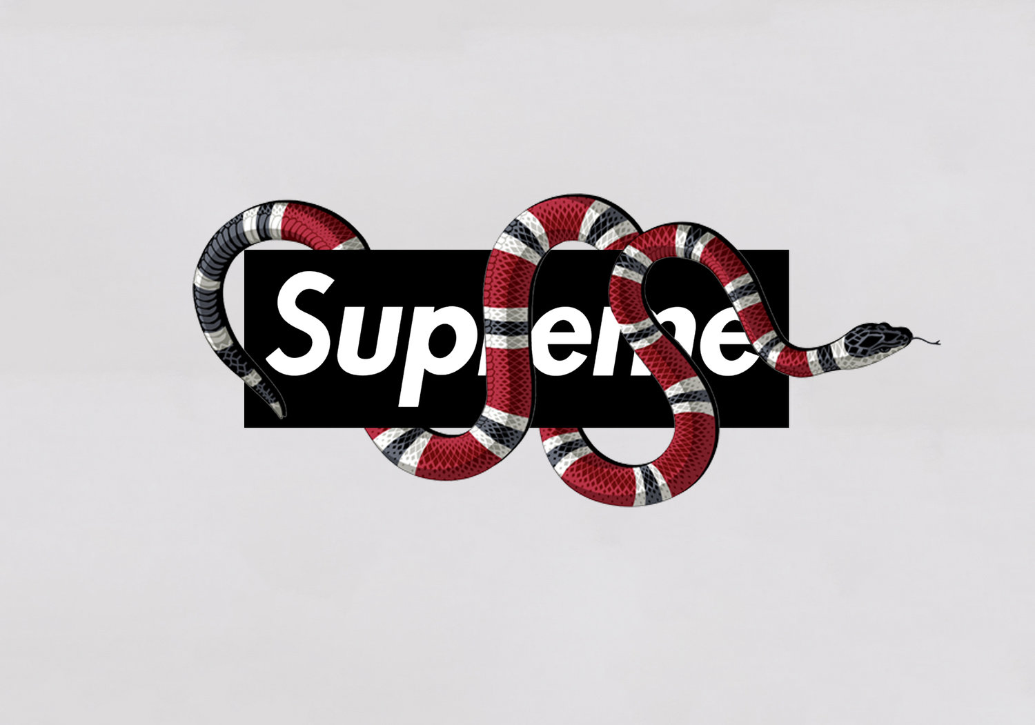 Supreme X Gucci Xztals