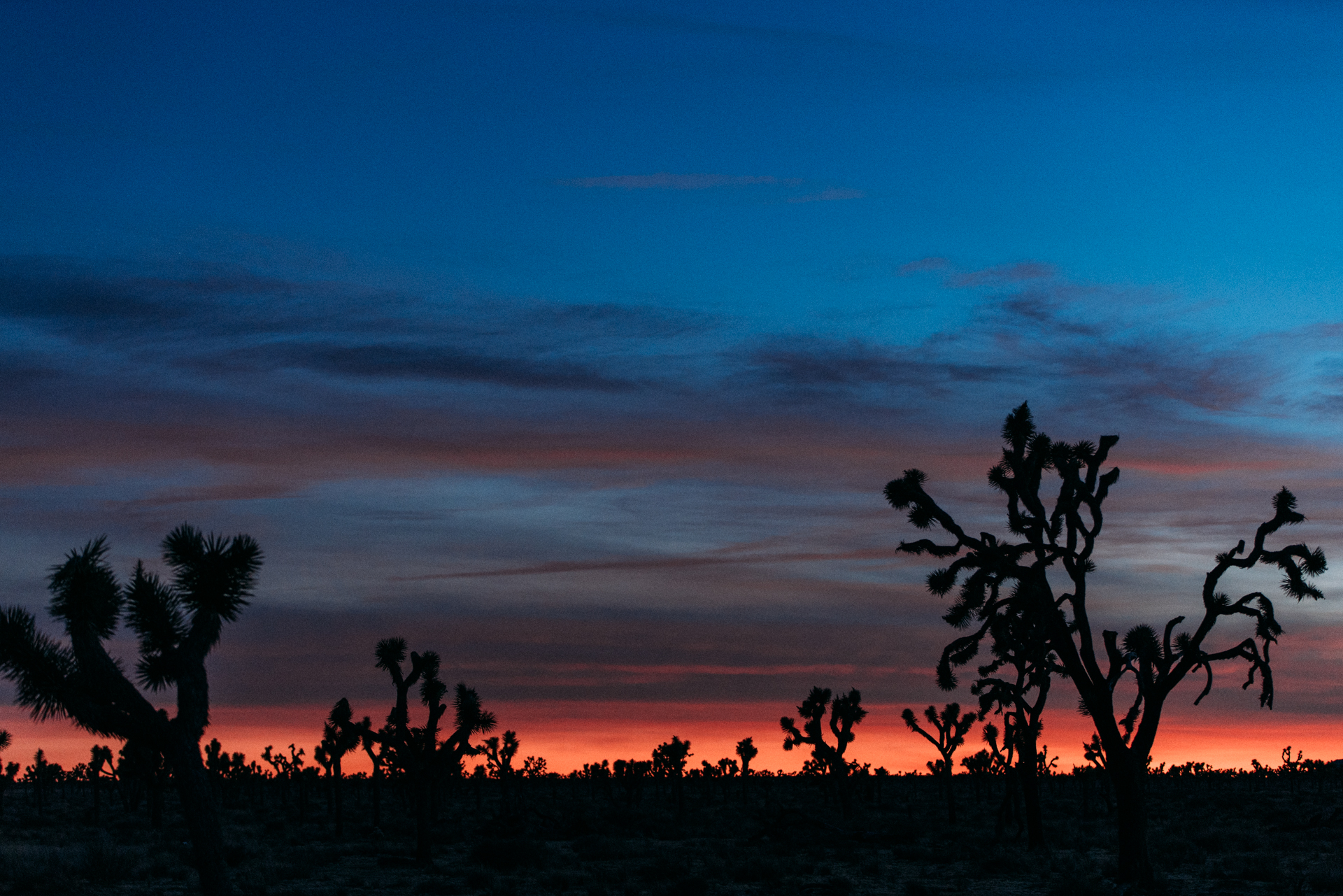_DSC2098.jpg