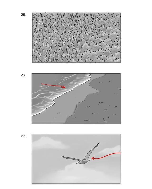 &ldquo;Assorted nature shots&rdquo; 
#storyboard #storyboards #storyboarding #storyboardartist #advertising #ad #preproduction #frame #art #draw #drawing #illustration #digitalart #digitalillustration #commercial #digitalartist #photoshop #cintiq #na